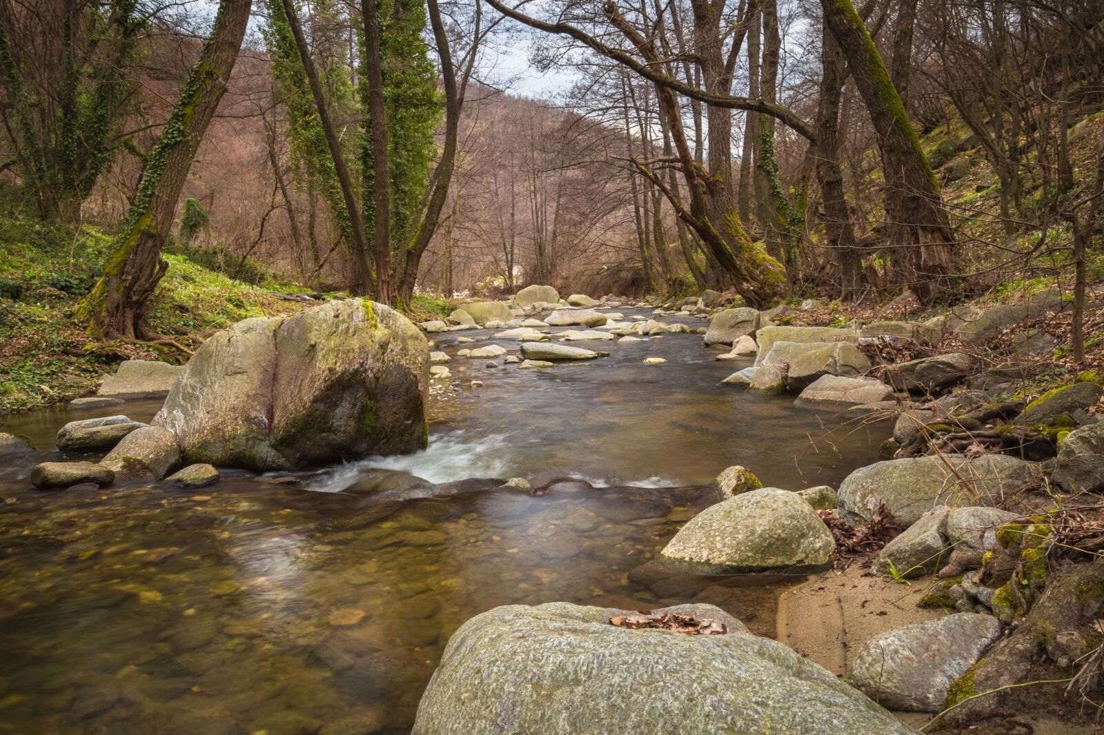 Canon EOS 6D + Canon EF 24-105mm F4L IS USM sample photo. River, stream, trees, water photography
