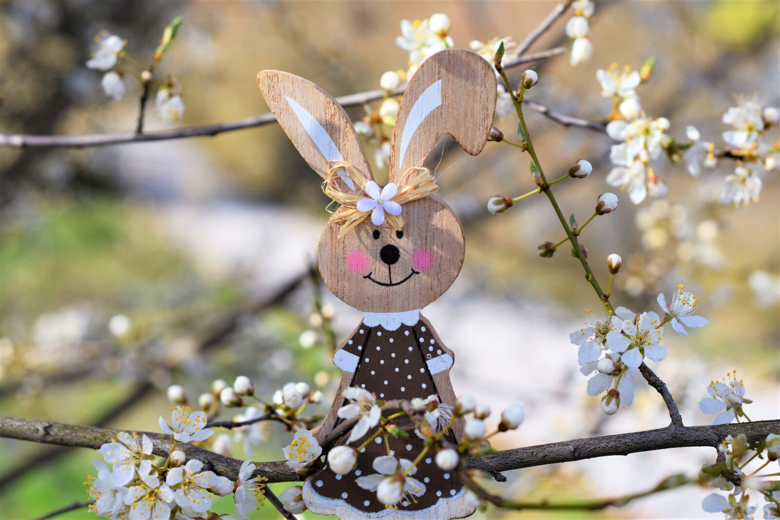 Nikon D7200 sample photo. Hare, easter, toys photography