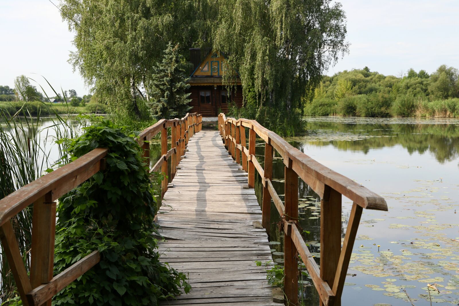 Canon EOS 80D + Canon EF 24-70mm F2.8L II USM sample photo. Pond, wooden bridge, railing photography