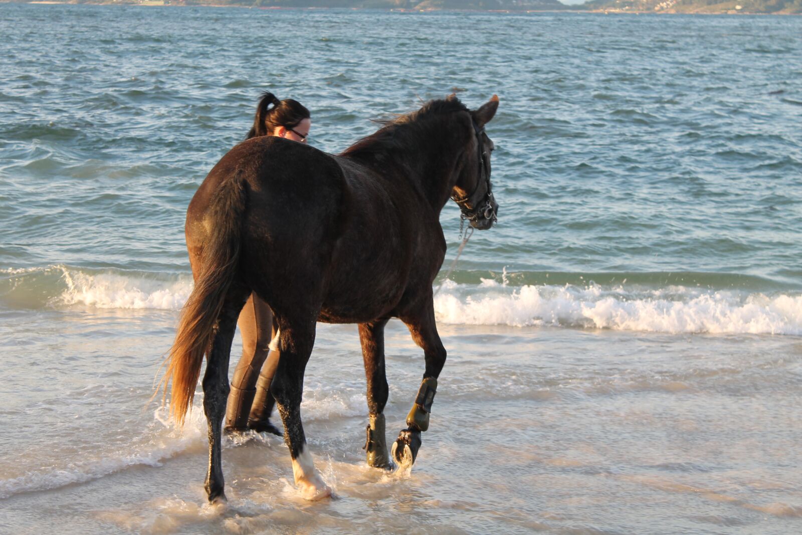 Canon EOS 1100D (EOS Rebel T3 / EOS Kiss X50) sample photo. Horse, beach, sea photography