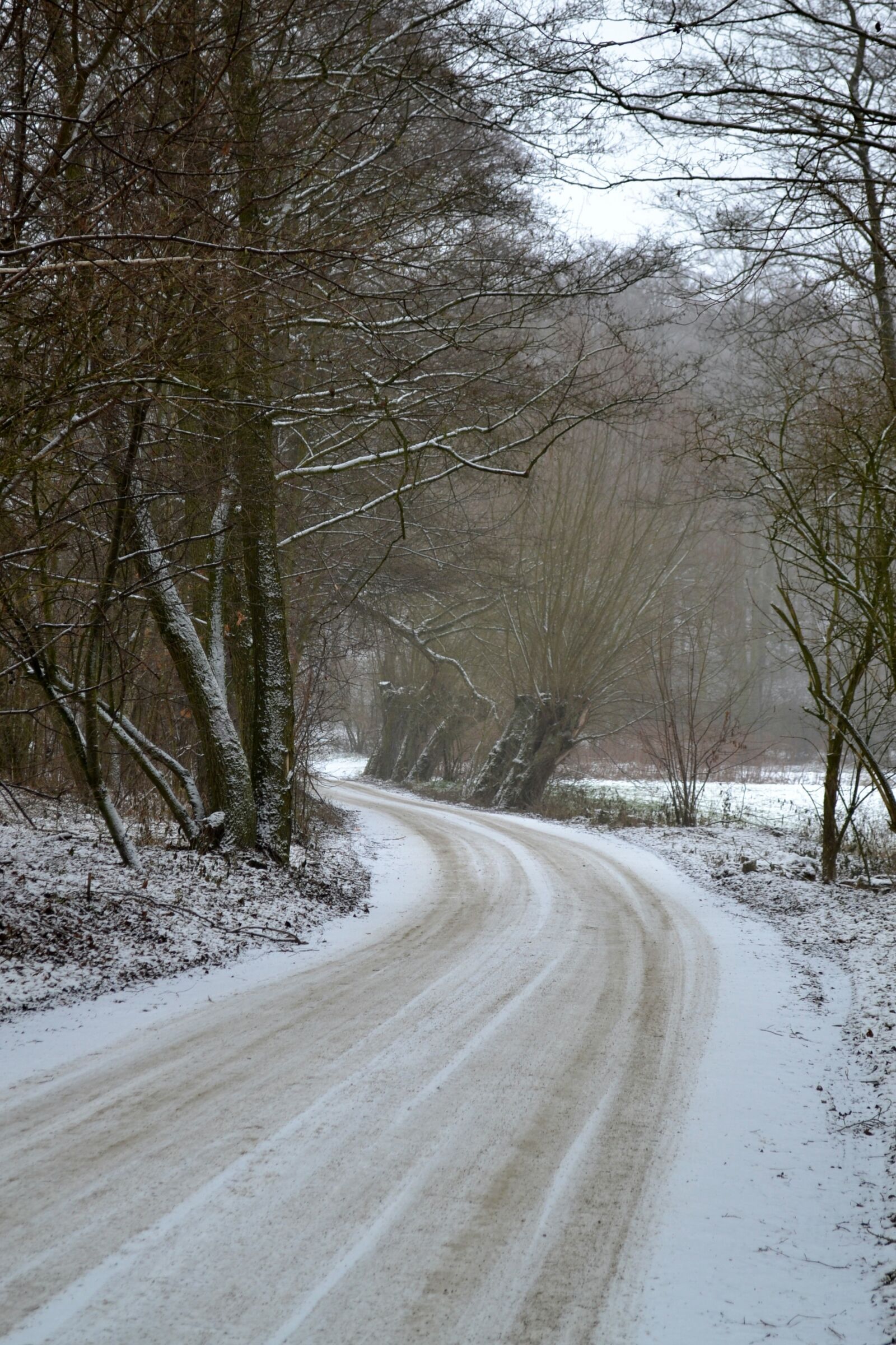 Nikon D3100 sample photo. Winter, snow, landscape photography