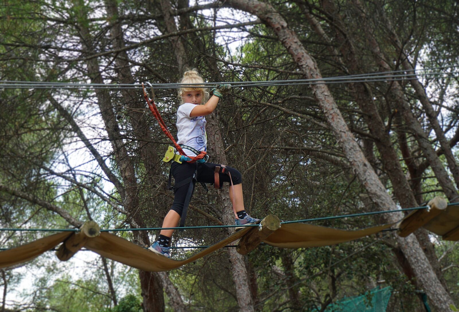 Sony a5100 sample photo. Climb, child, climbing garden photography