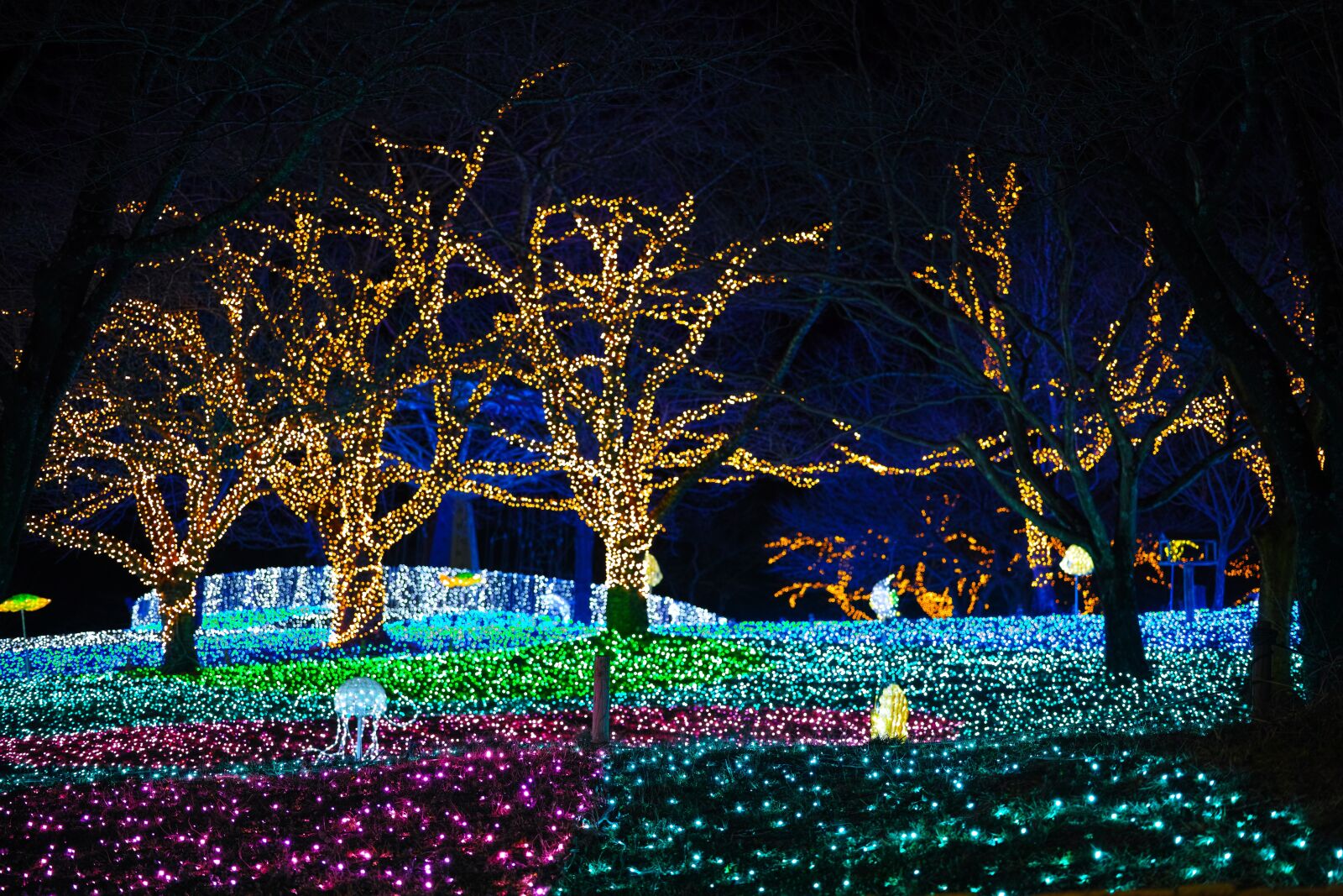 Sigma DP3 Merrill sample photo. Illumination, night, japan photography
