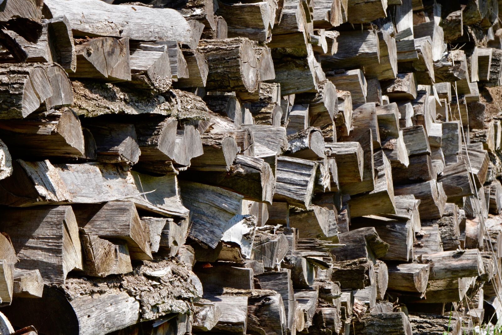 Nikon D5100 sample photo. Wood, firewood, holzstapel photography