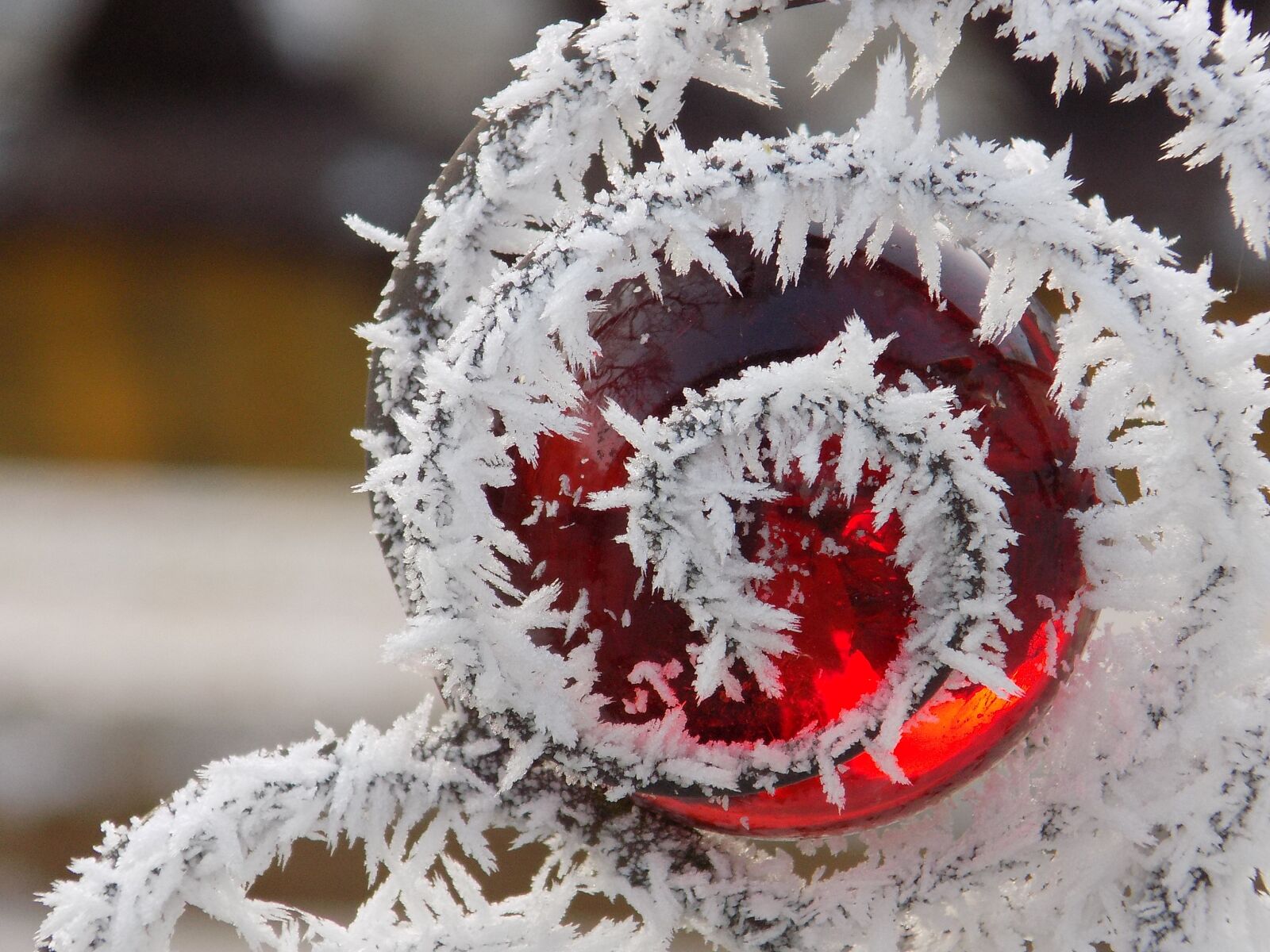 Nikon COOLPIX L340 sample photo. Rime, glass globe, frost photography