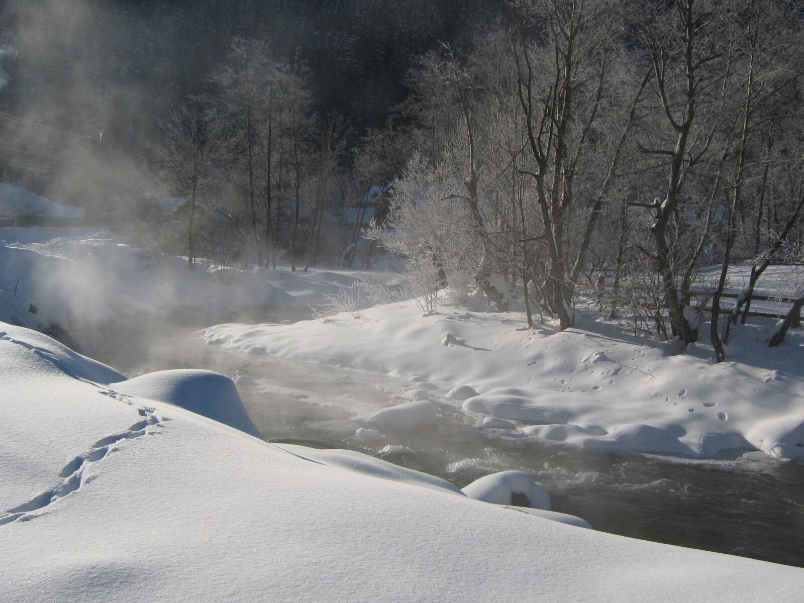 Canon PowerShot A470 sample photo. Snow, cold, frozen river photography