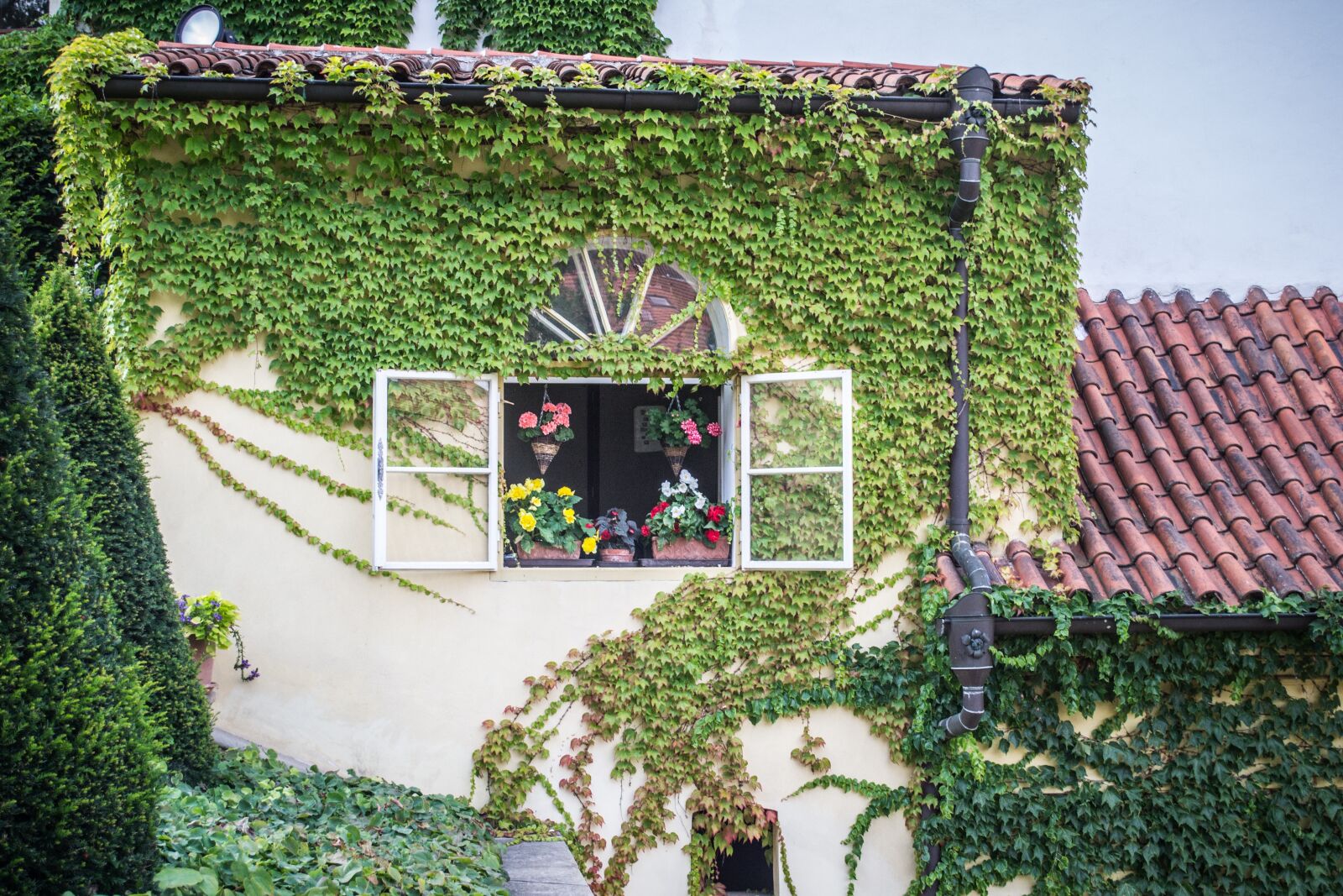 Nikon D3100 sample photo. Garden, park, prague photography