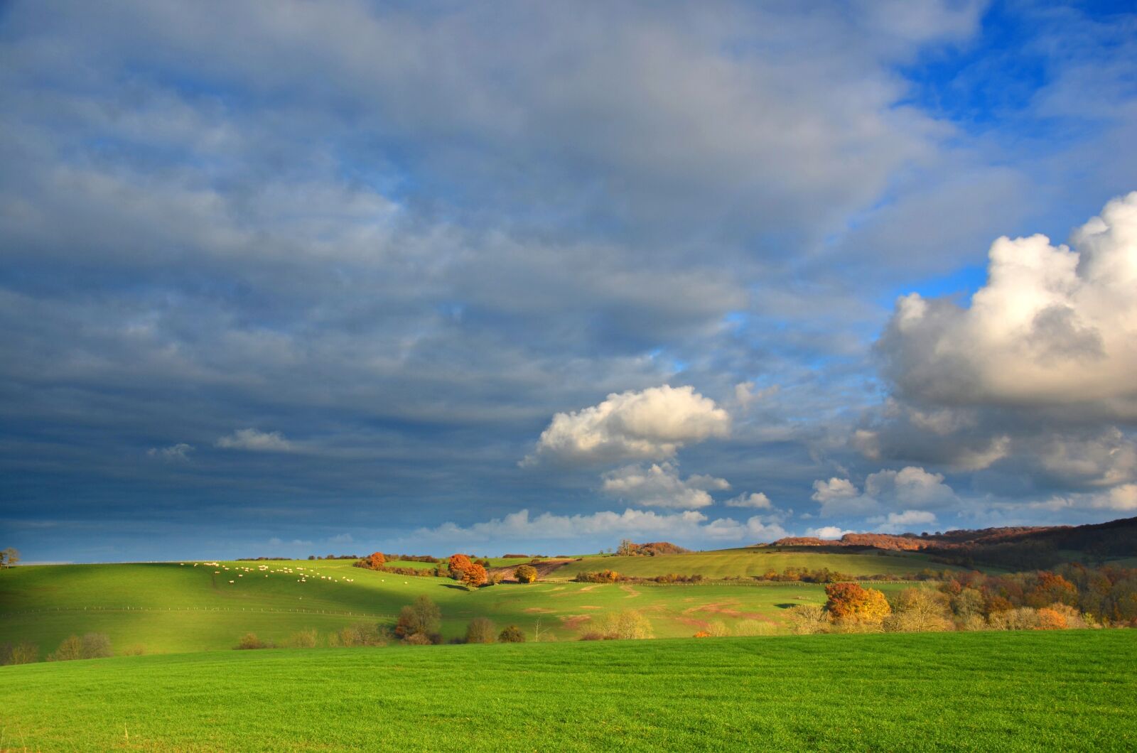 Nikon D5100 sample photo. Landscape, countryside, vosges photography