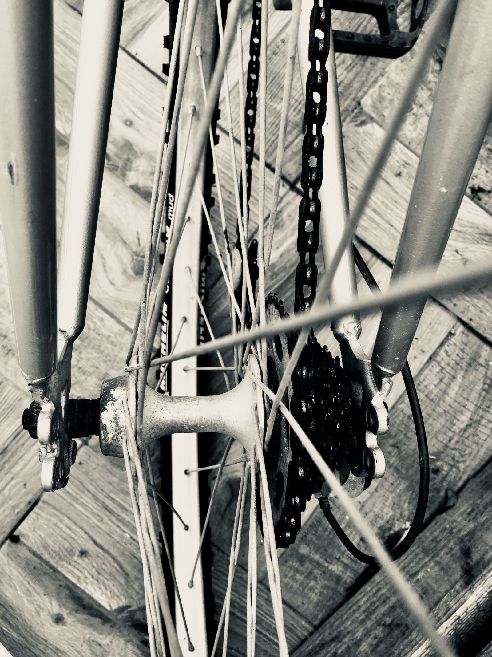 Apple iPhone 6s sample photo. Rim, chain, bike photography