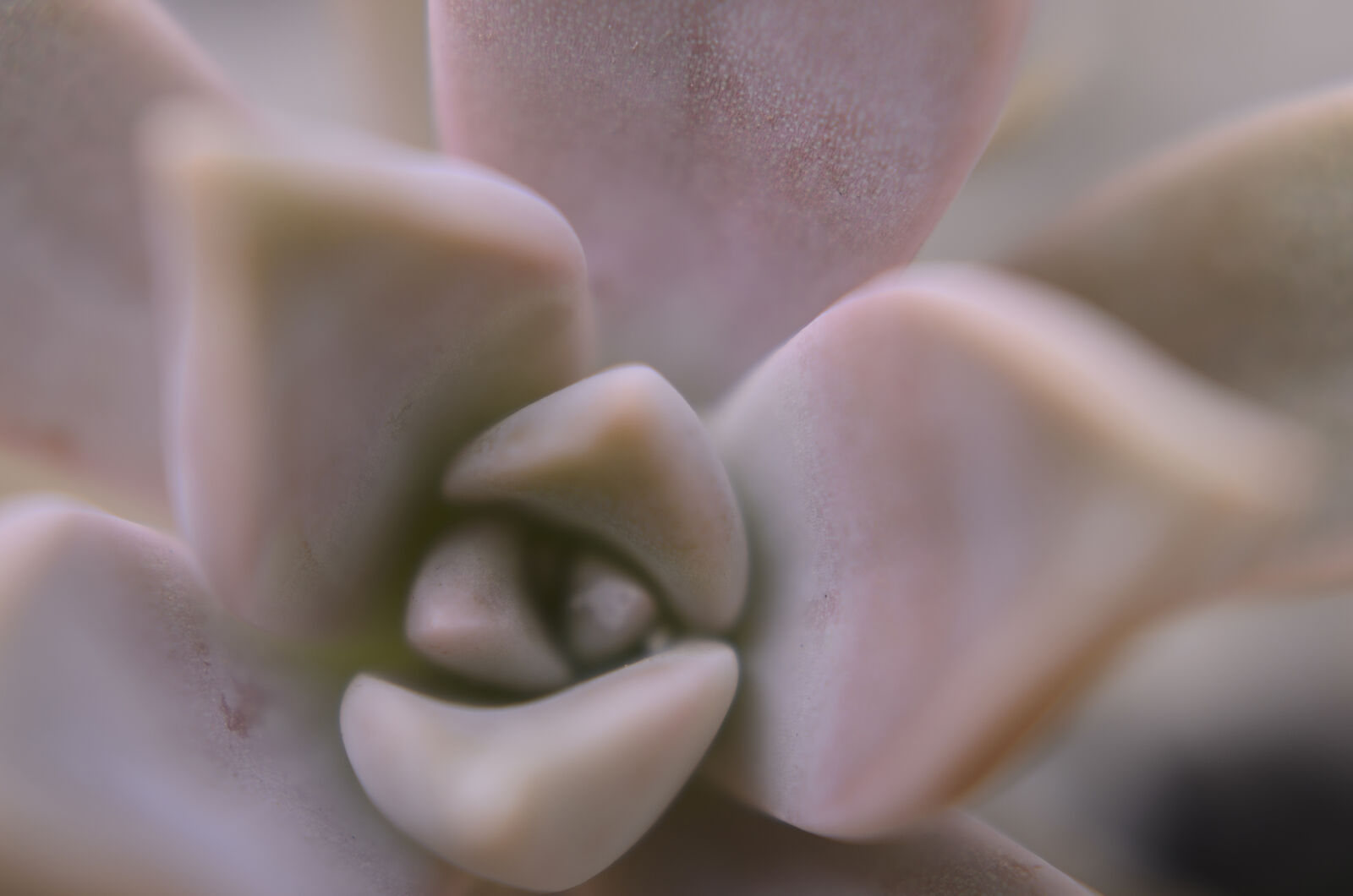 Nikon D7000 sample photo. Abstract, abstrato, background, brazilian photography
