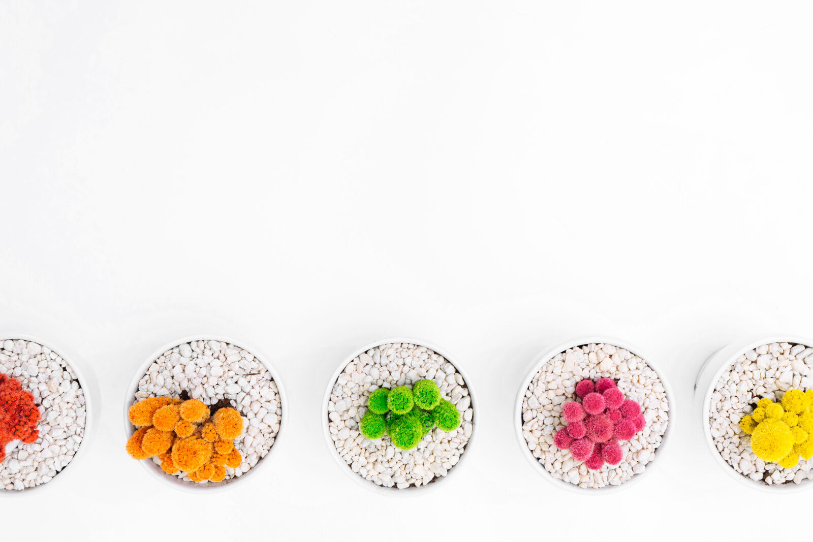 Sony a7 II + Sony FE 28-70mm F3.5-5.6 OSS sample photo. Colorful, plant, pot, rocks photography