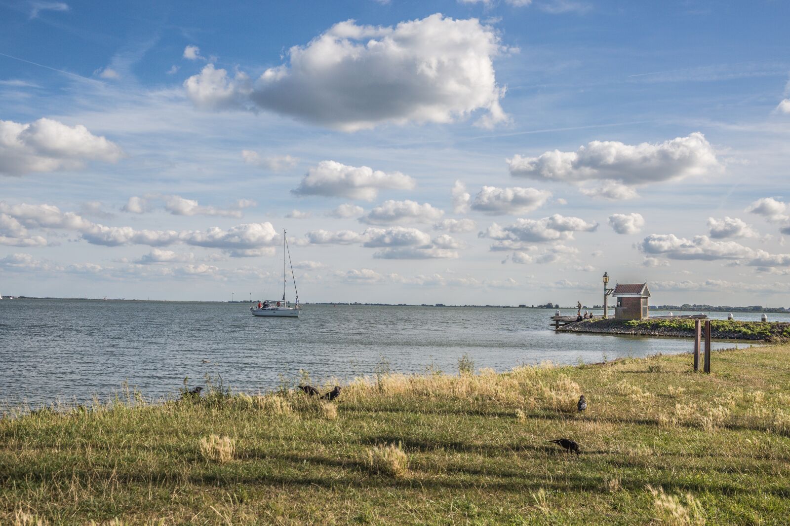 Canon EOS 5D Mark III sample photo. Sky, grass, greenery photography