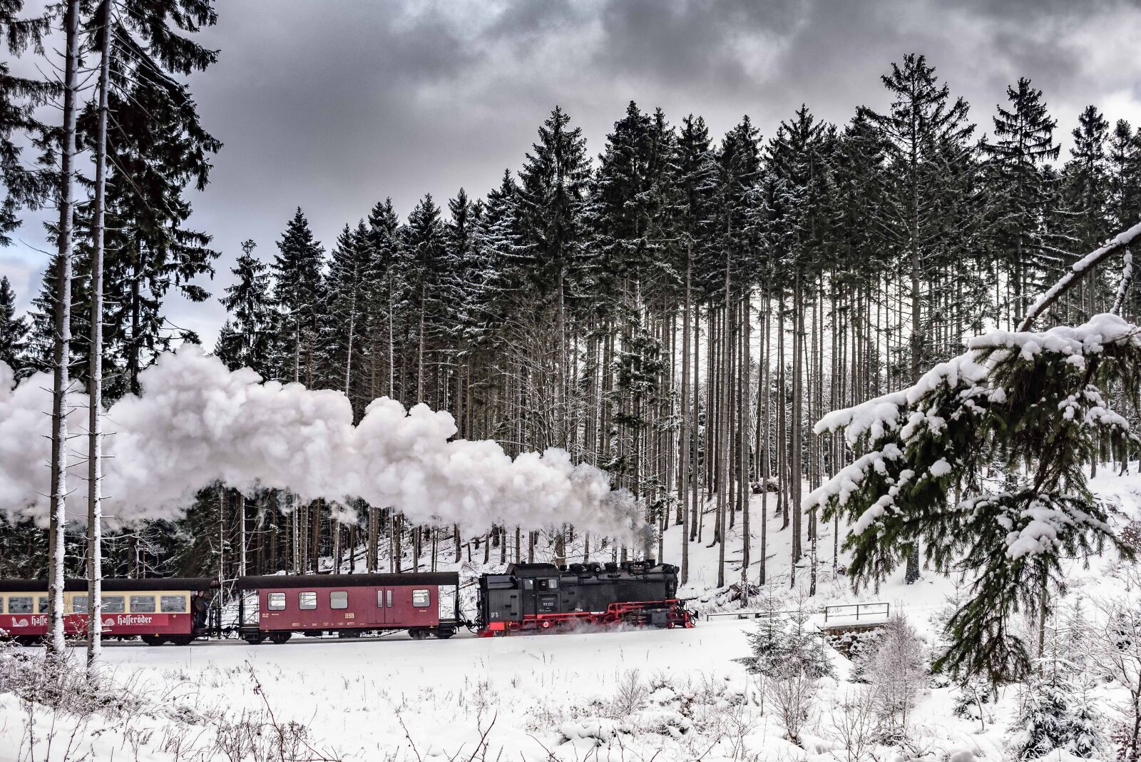 Nikon D750 sample photo. Harzer schmalspuhrbahn, wintry, full photography