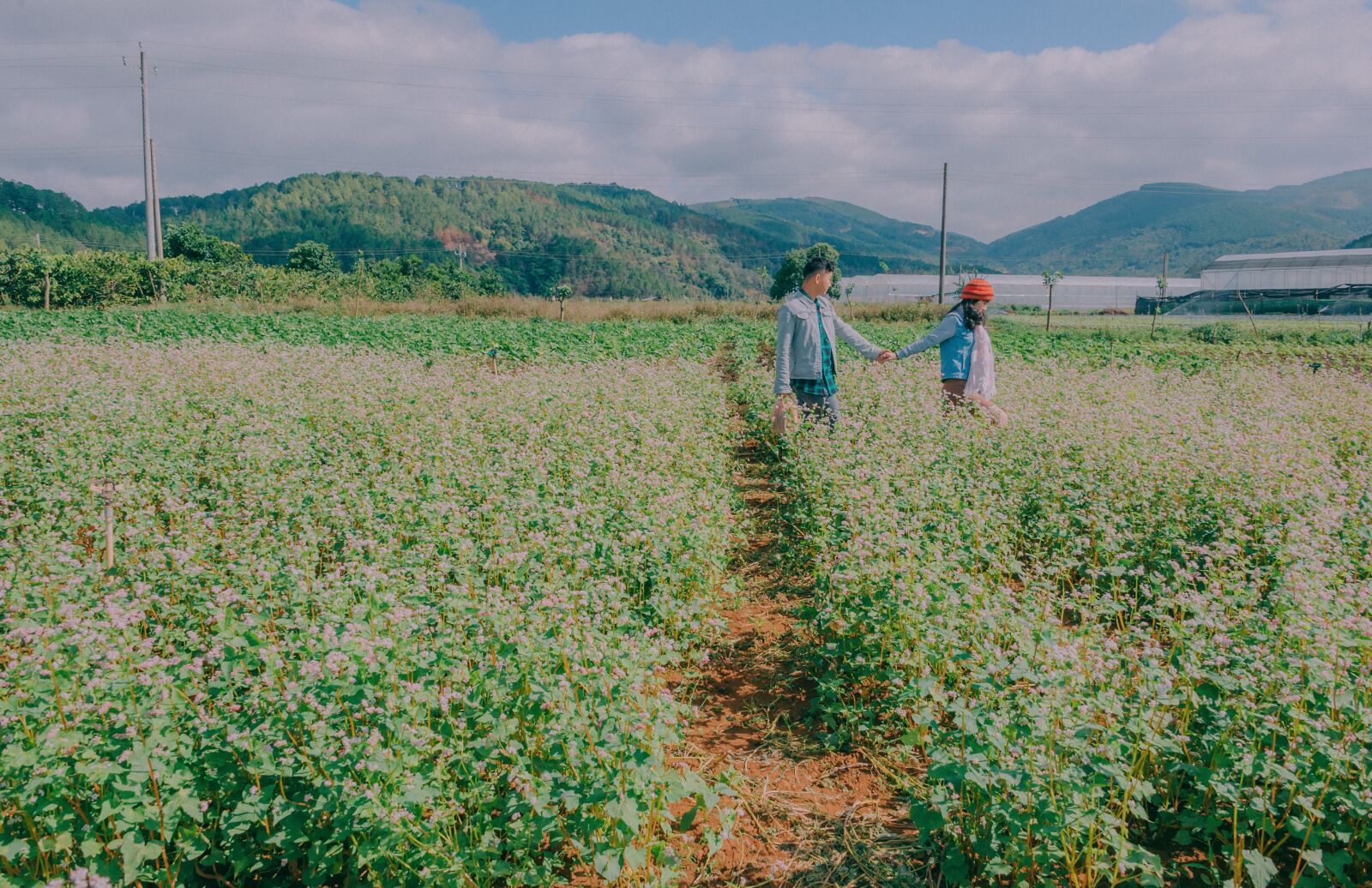 Nikon D700 sample photo. Landscape, travel, cute photography