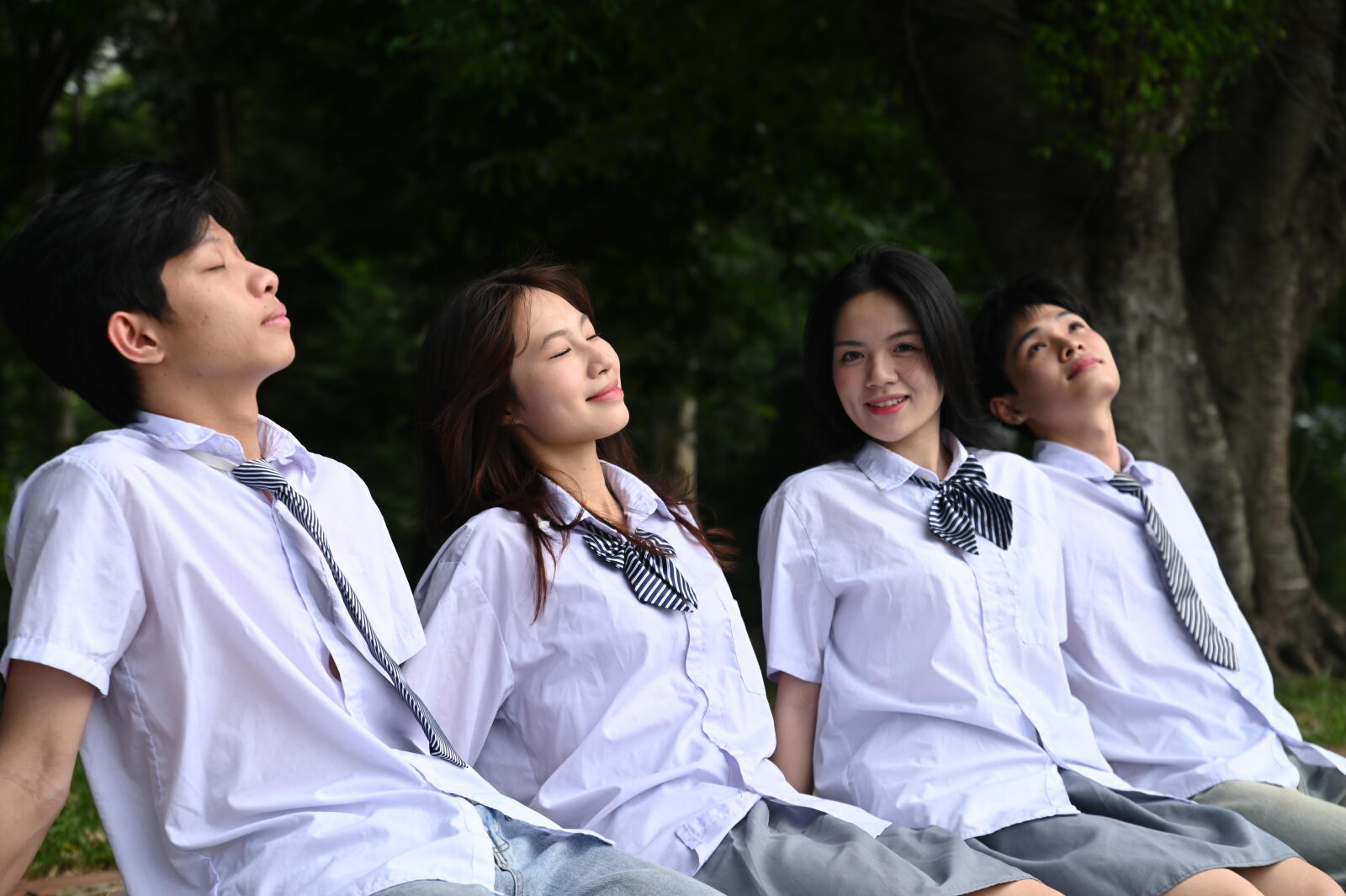 Nikon D780 sample photo