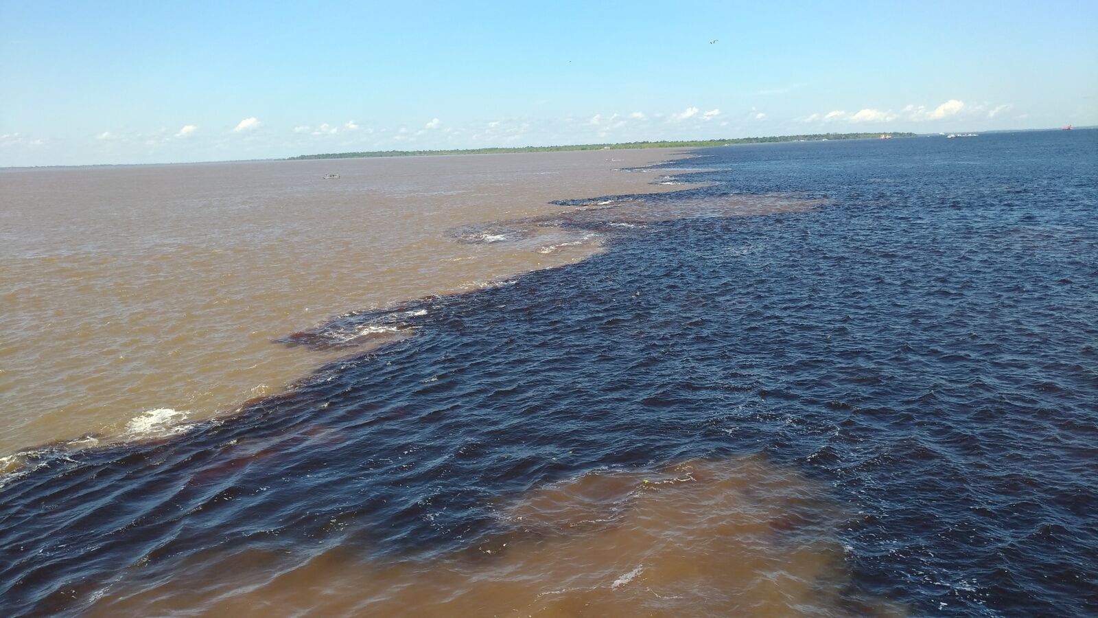 ASUS Z017DC sample photo. Water, rio, amazonas photography