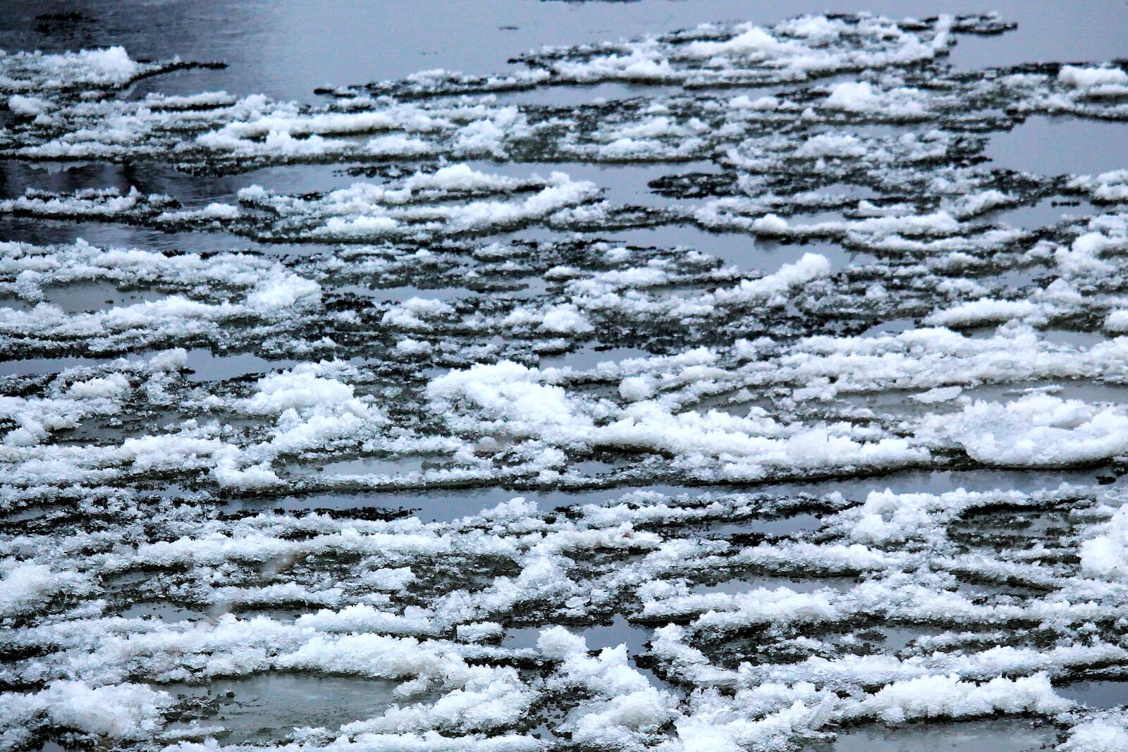 Canon EOS 1100D (EOS Rebel T3 / EOS Kiss X50) + Canon EF-S 55-250mm F4-5.6 IS STM sample photo. River, ice floes, water photography