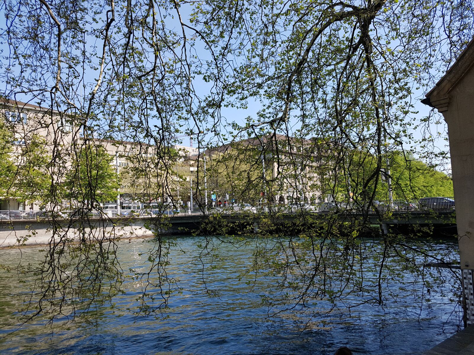 Samsung Galaxy S7 Edge sample photo. Zurich, river, nature photography