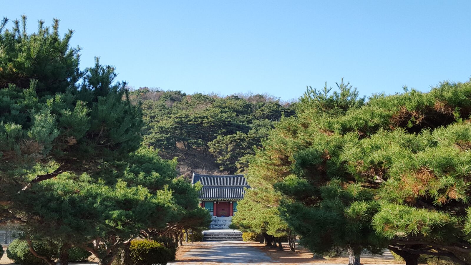 Samsung Galaxy S6 sample photo. Forest, shrine, korea photography