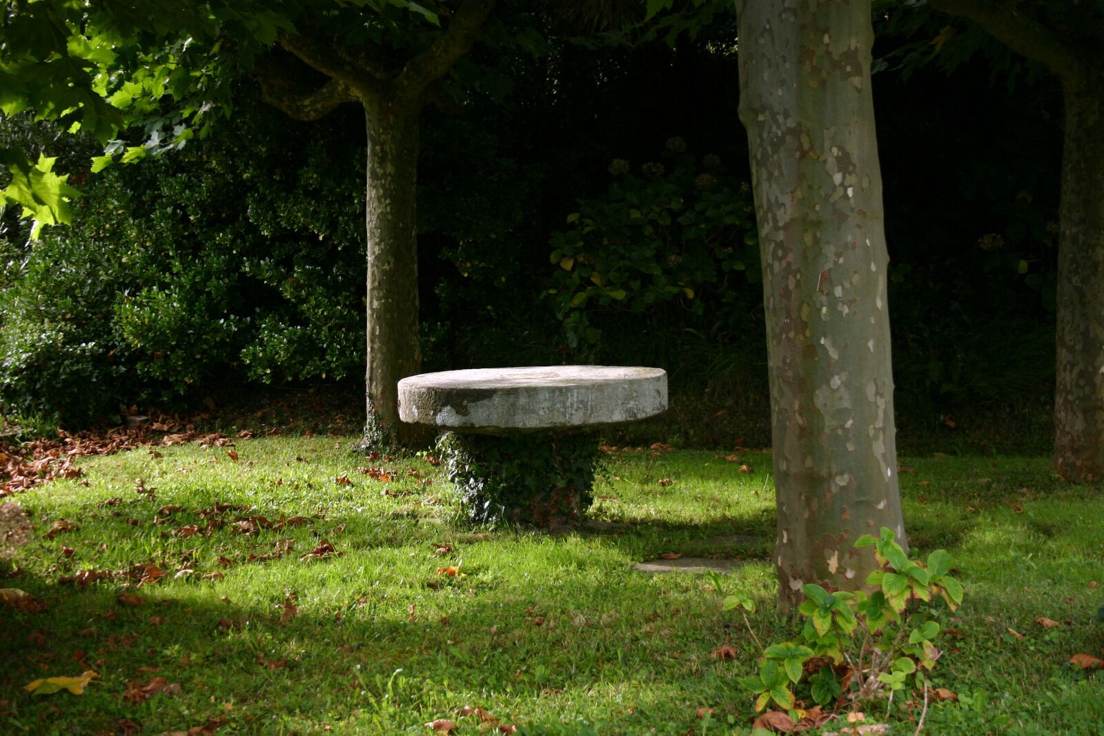 Canon EOS 300D (EOS Digital Rebel / EOS Kiss Digital) sample photo. Stone table, grass, nature photography