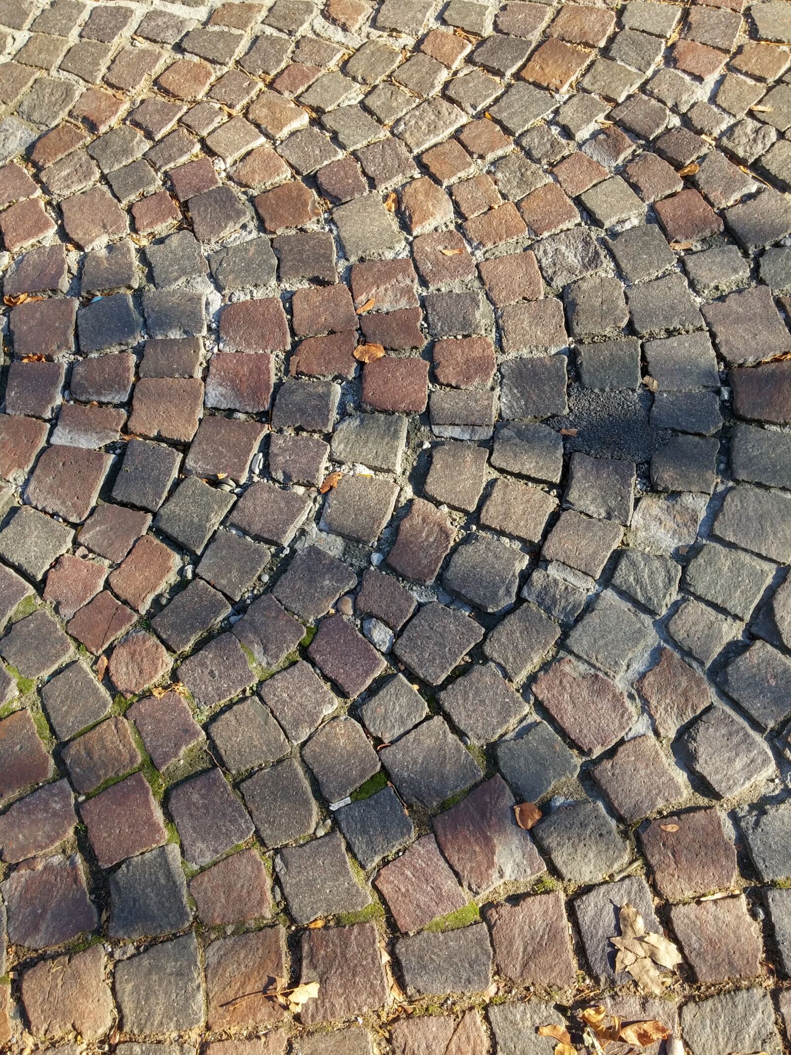 LG D855 sample photo. Paving stones, stones, square photography
