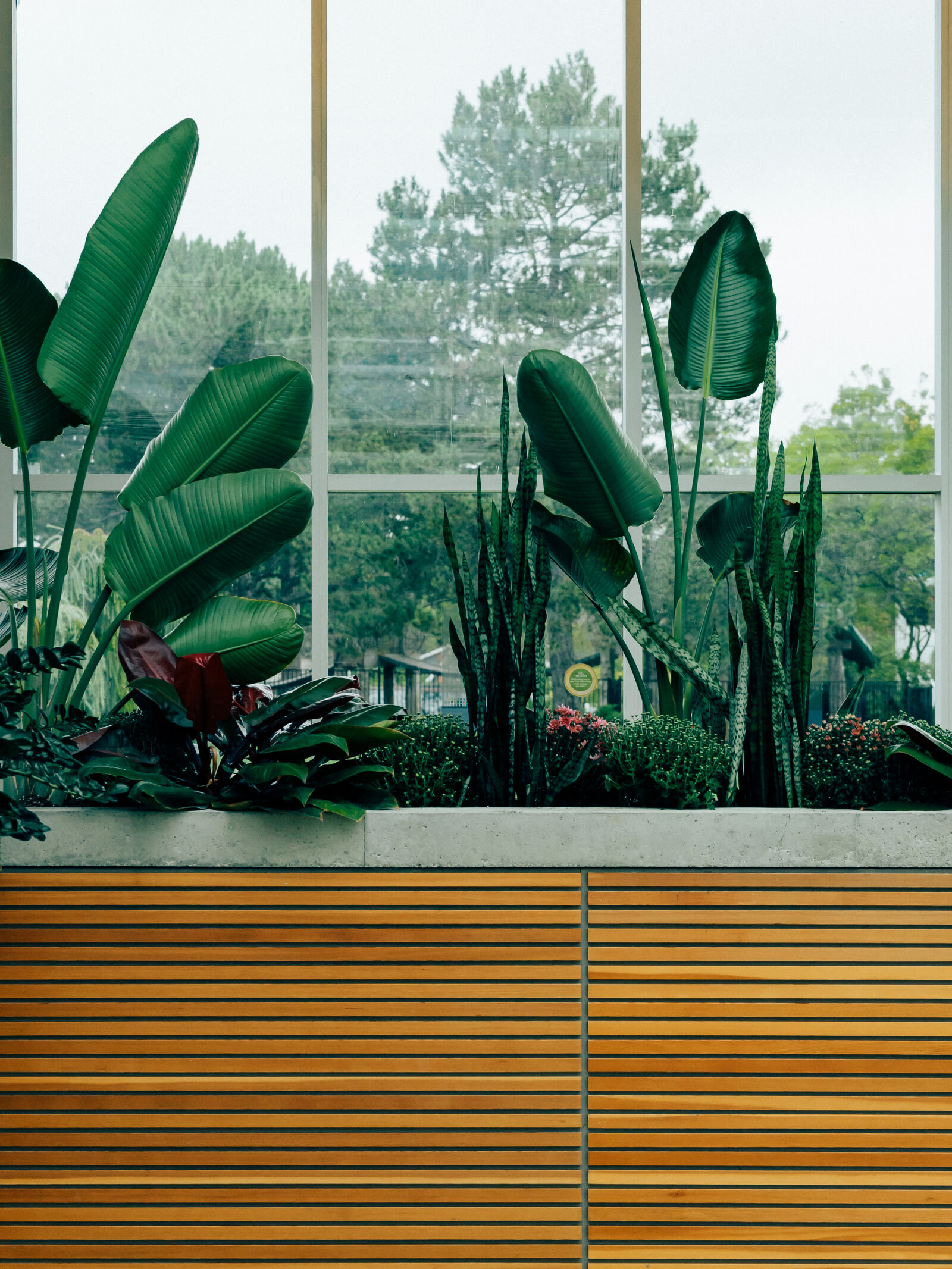 Sony a7 II + Sony FE 28-70mm F3.5-5.6 OSS sample photo. Architectural, design, botanical, environment photography