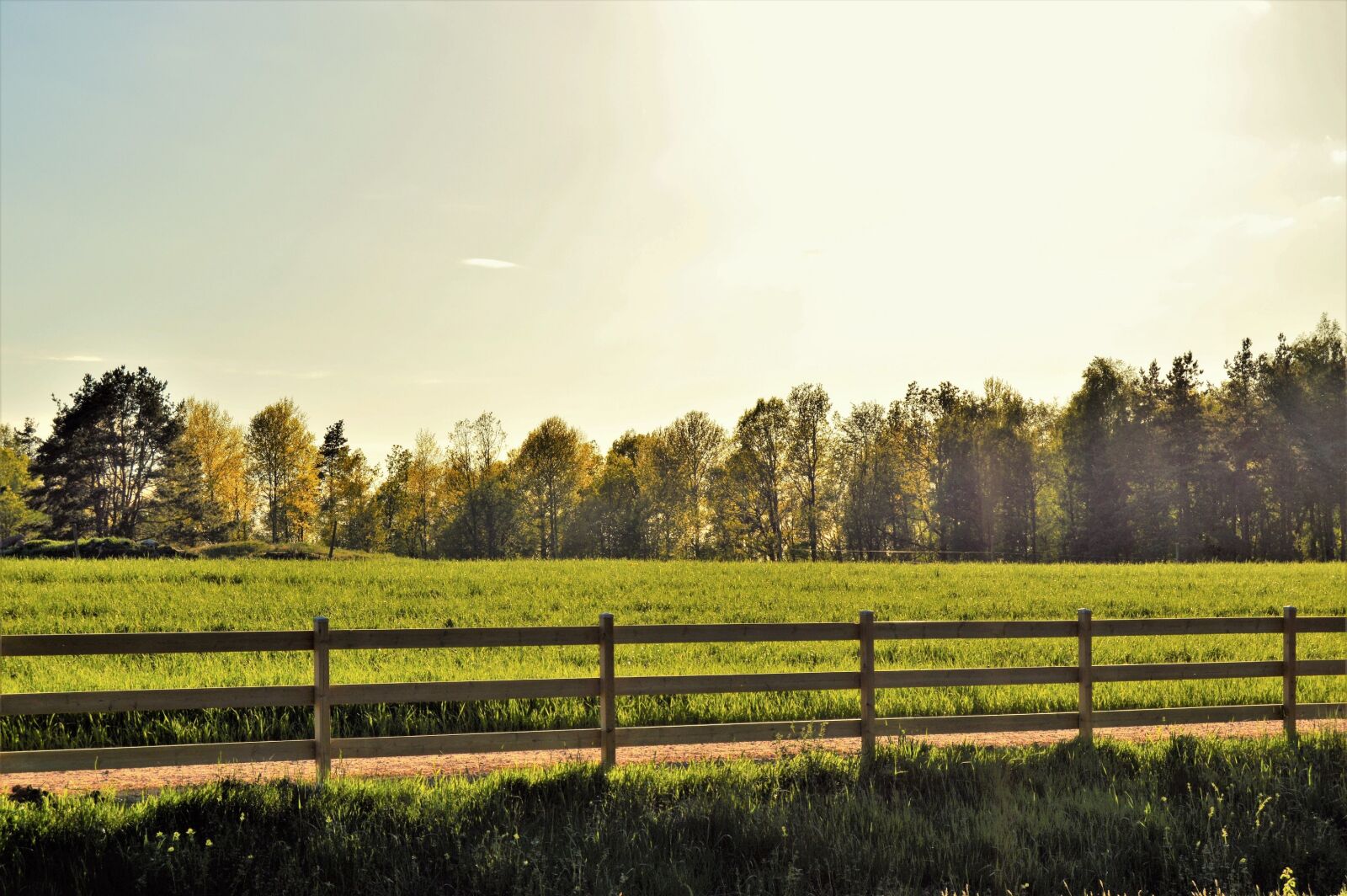 Nikon D3200 sample photo. Blue, clouds, daytime, fence photography