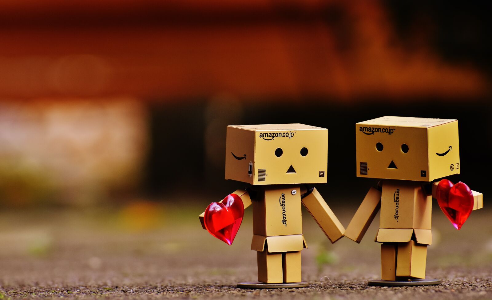 Nikon D7200 sample photo. Danbo, figure, together photography