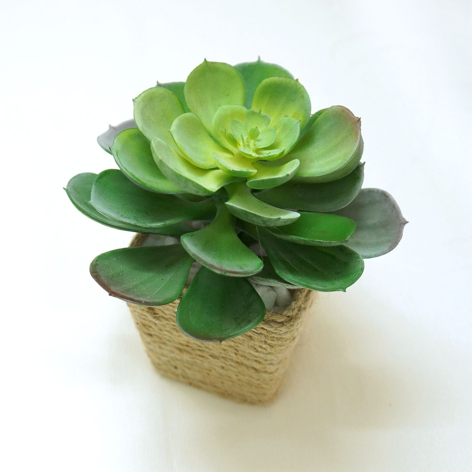 Sony Alpha NEX-F3 + Sony E 18-55mm F3.5-5.6 OSS sample photo. Object, decorate, craft photography