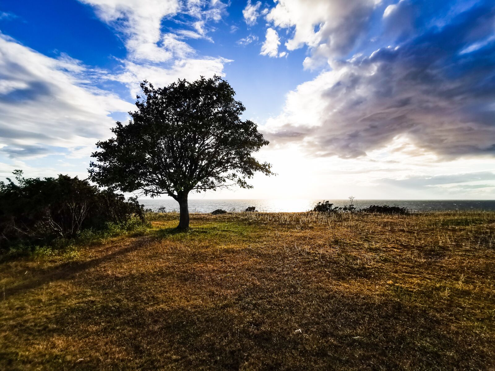 HUAWEI P30 Pro Rear Wide Camera sample photo. Tree, cliff, clouds photography