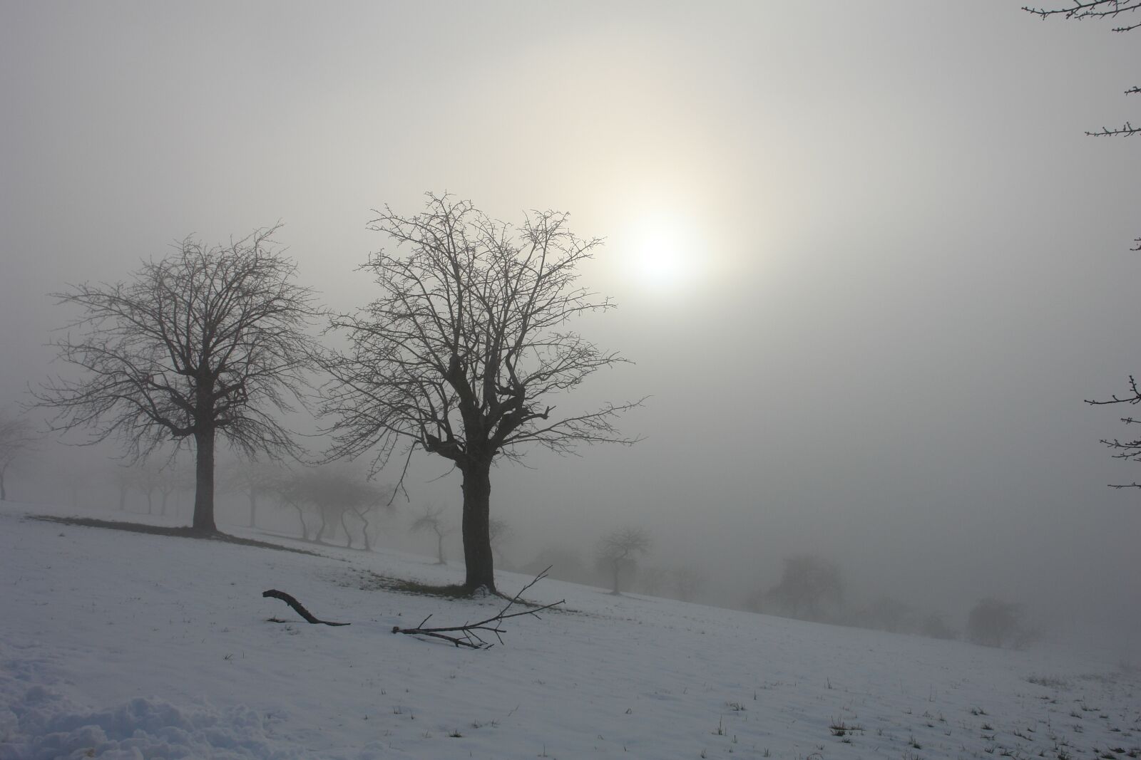 Sony DSC-R1 sample photo. Sun, winter, snow photography