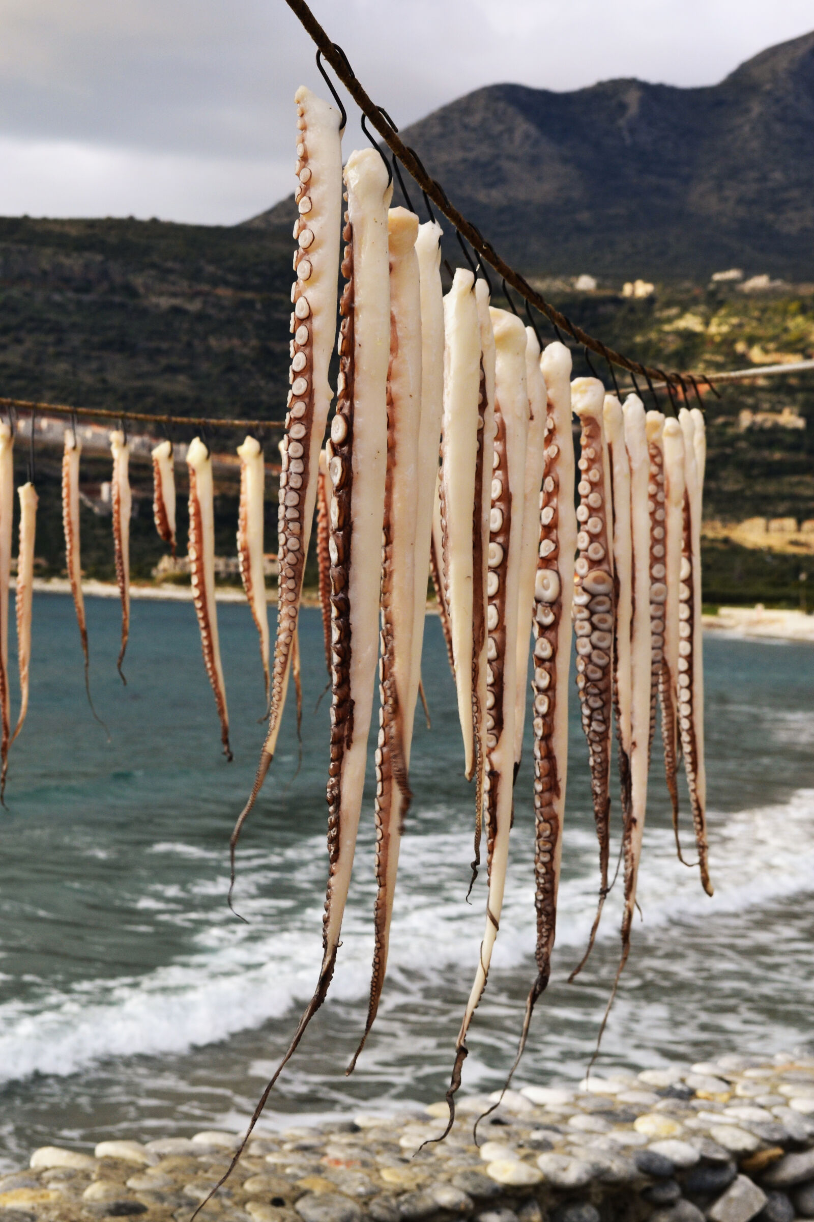 Nikon D3100 sample photo. Beach, color, cuisine, delicious photography