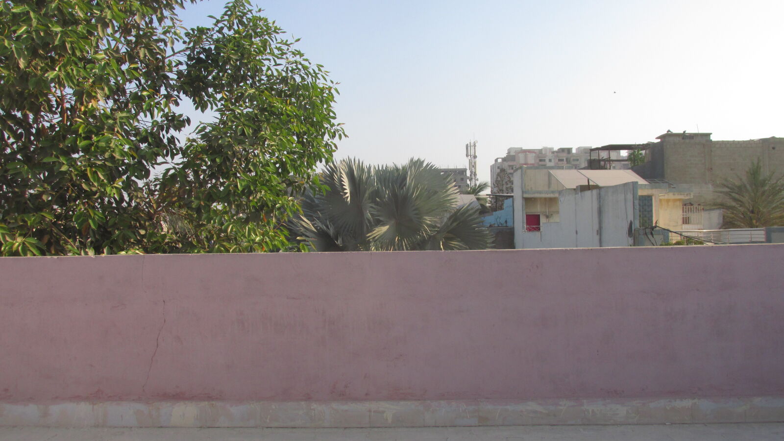 Canon PowerShot SX170 IS sample photo