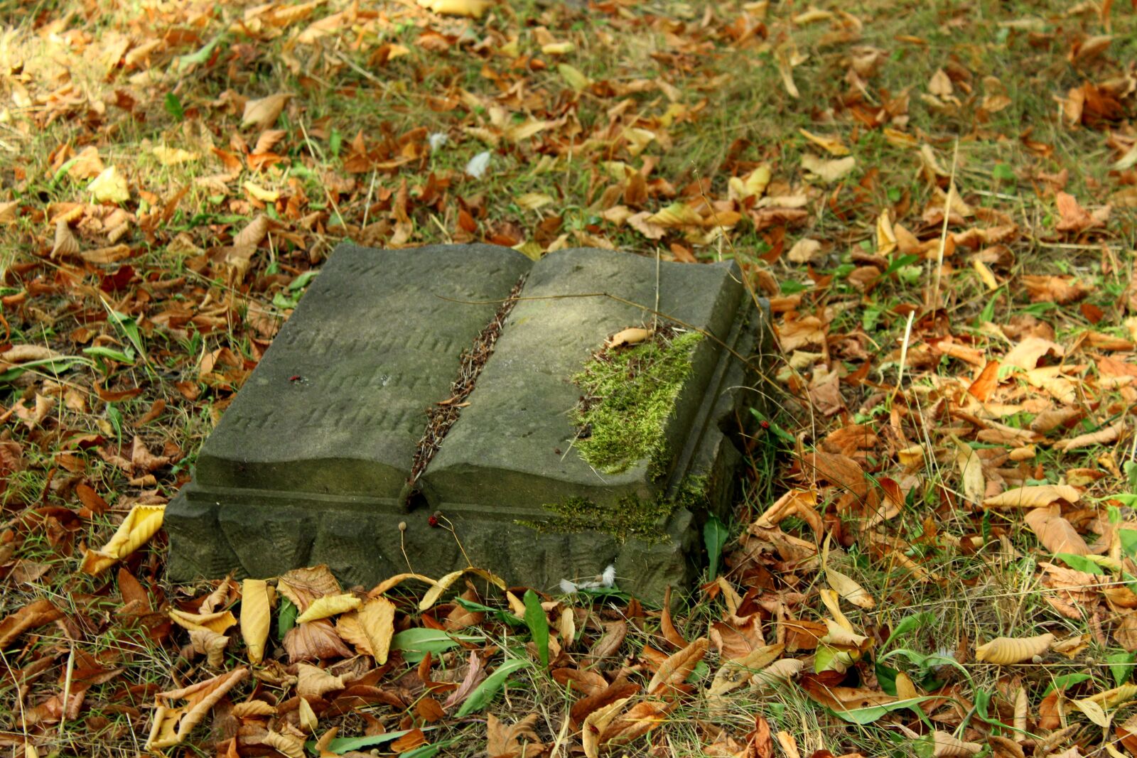 Canon EOS 1200D (EOS Rebel T5 / EOS Kiss X70 / EOS Hi) sample photo. Paper, stone book, sculpture photography