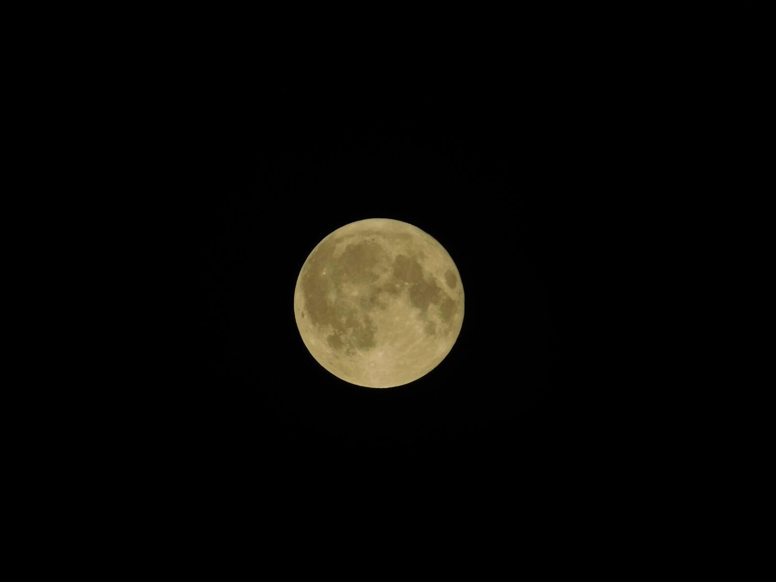 Nikon Coolpix L840 sample photo