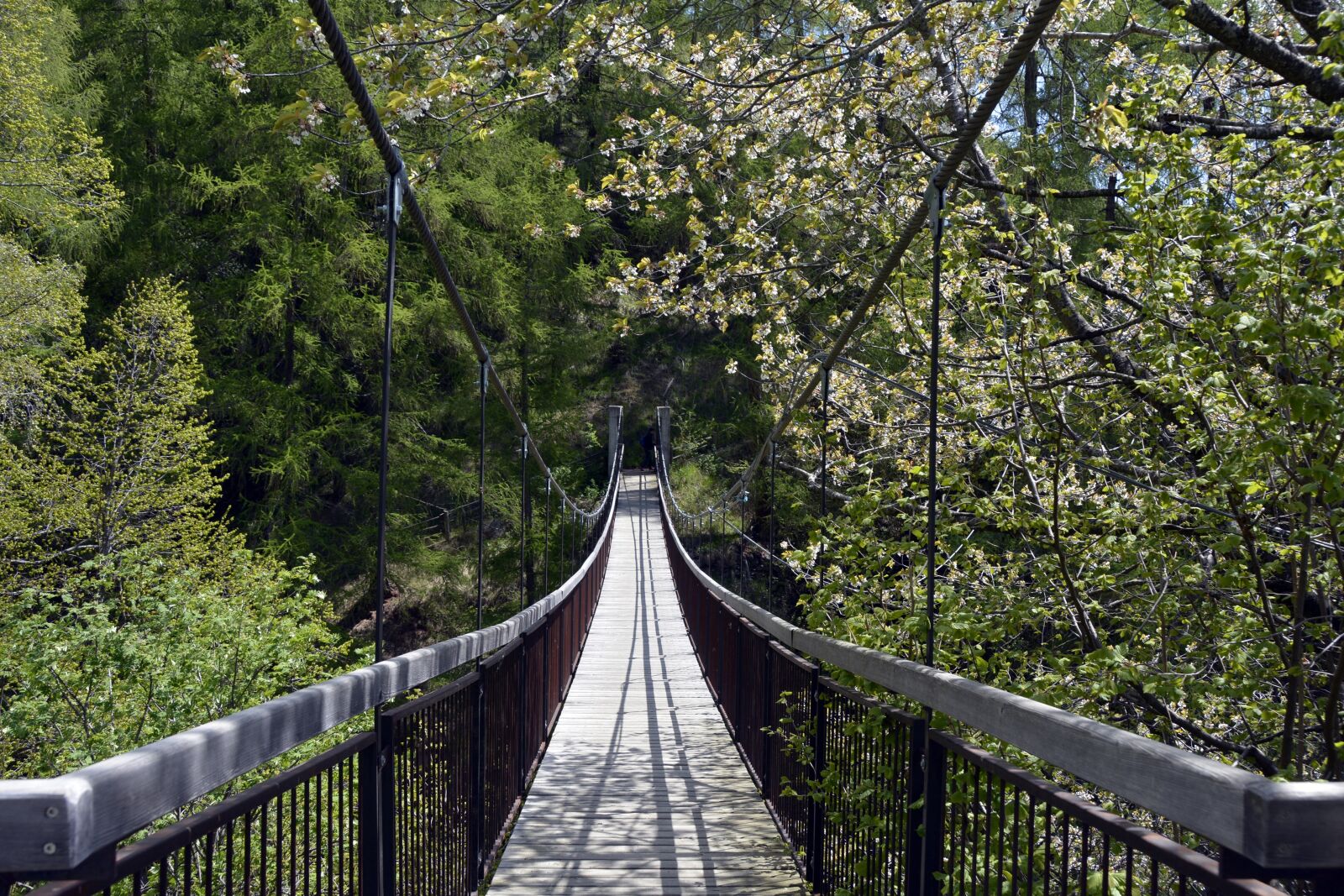 Nikon D7100 sample photo. Suspension bridge, bridge, transition photography