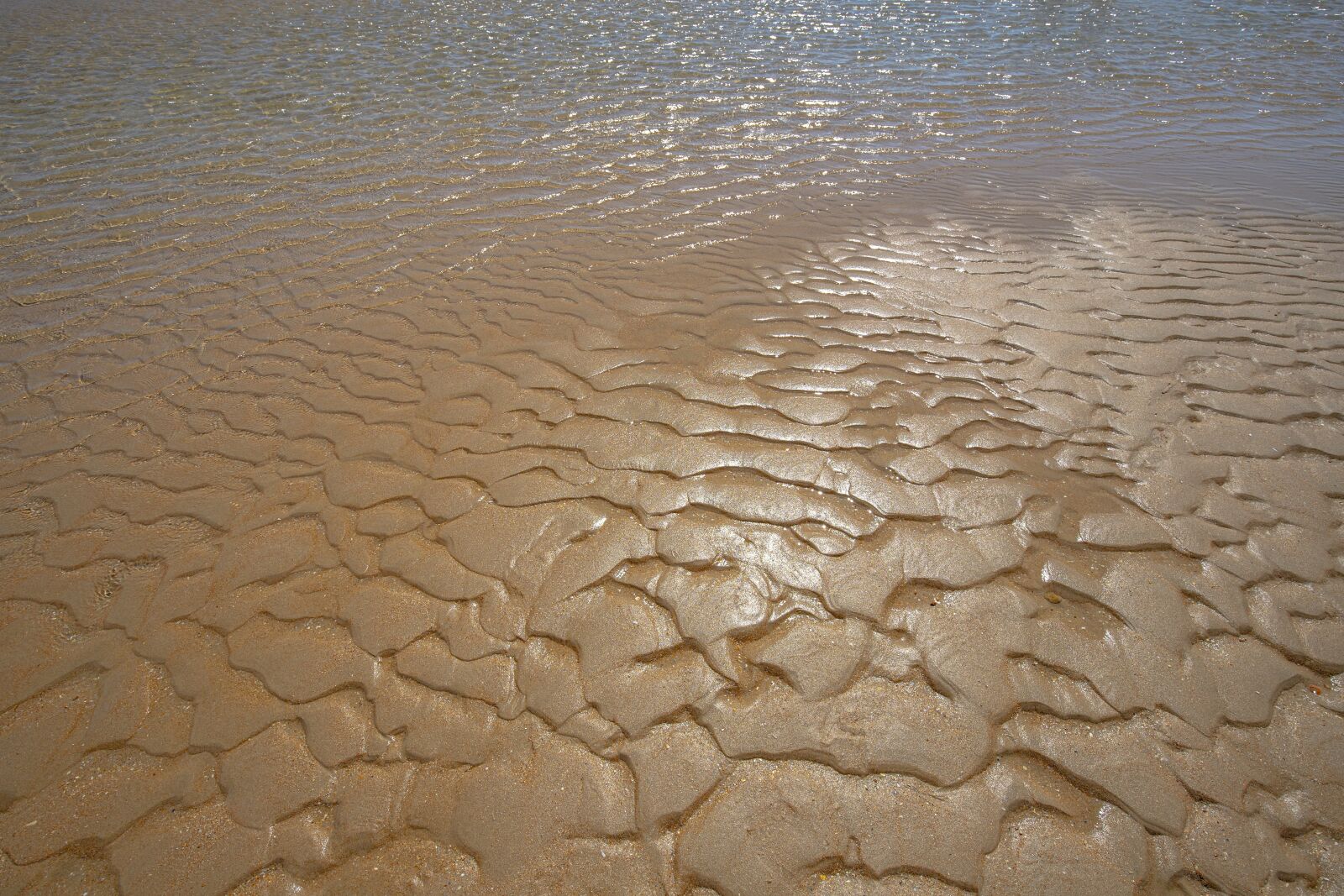 Canon EF 16-35mm F4L IS USM sample photo. Sand, beach, sea photography