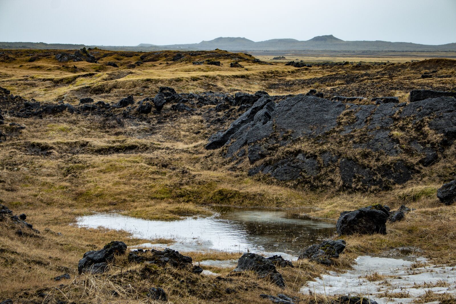 Canon EOS 70D sample photo. Iceland, moss, nature photography