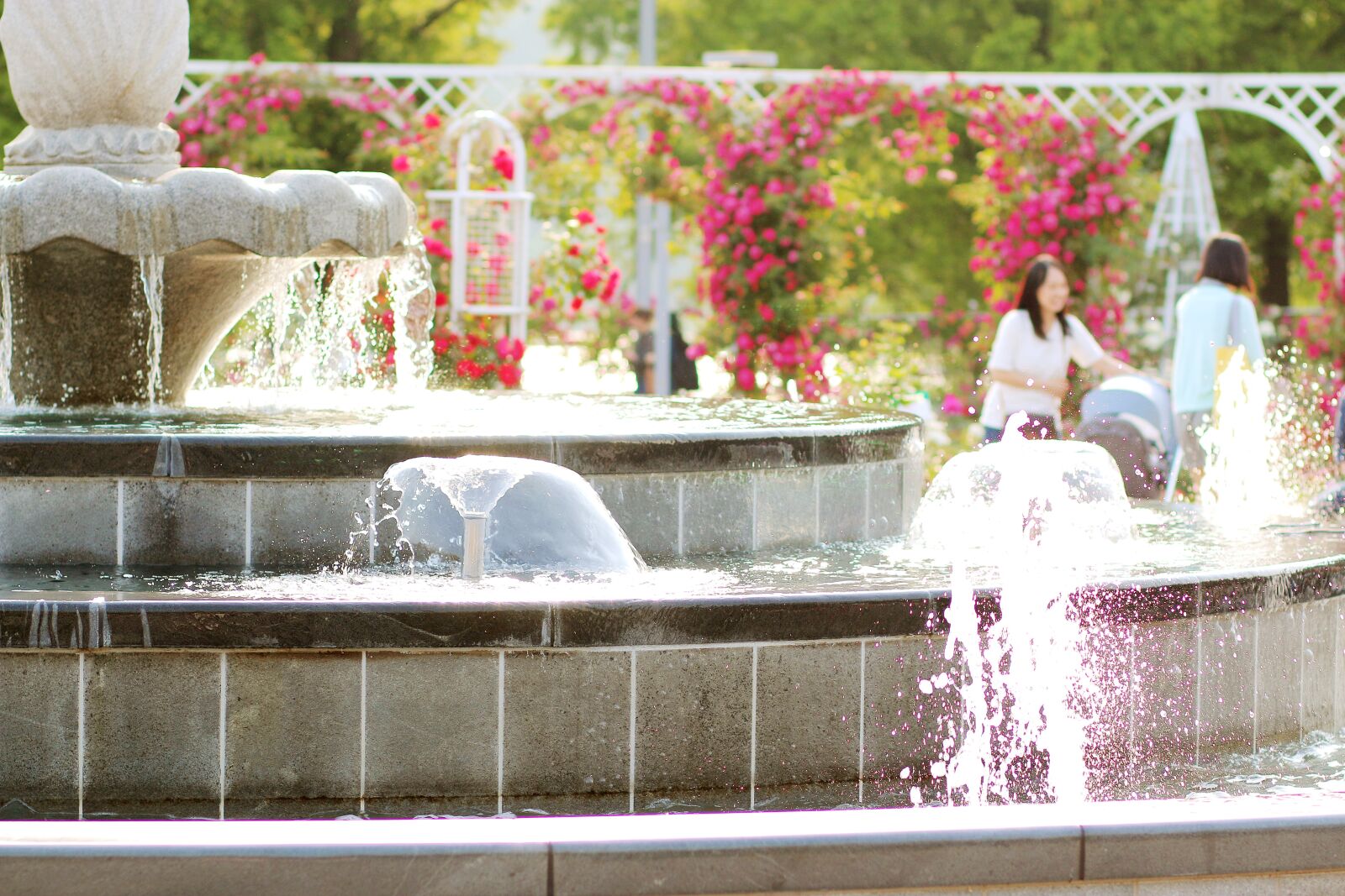 Canon EOS 70D + Canon EF 85mm F1.8 USM sample photo. Fountain, may, water photography