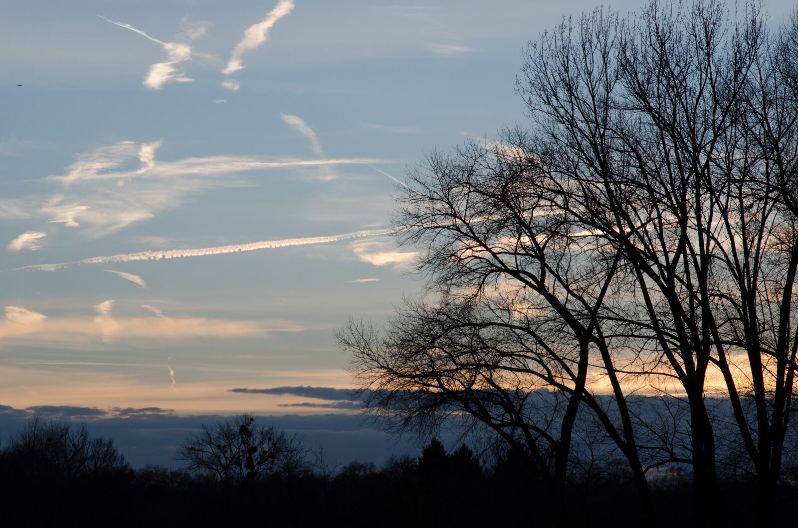Nikon D5100 sample photo. Sky, nature, field photography
