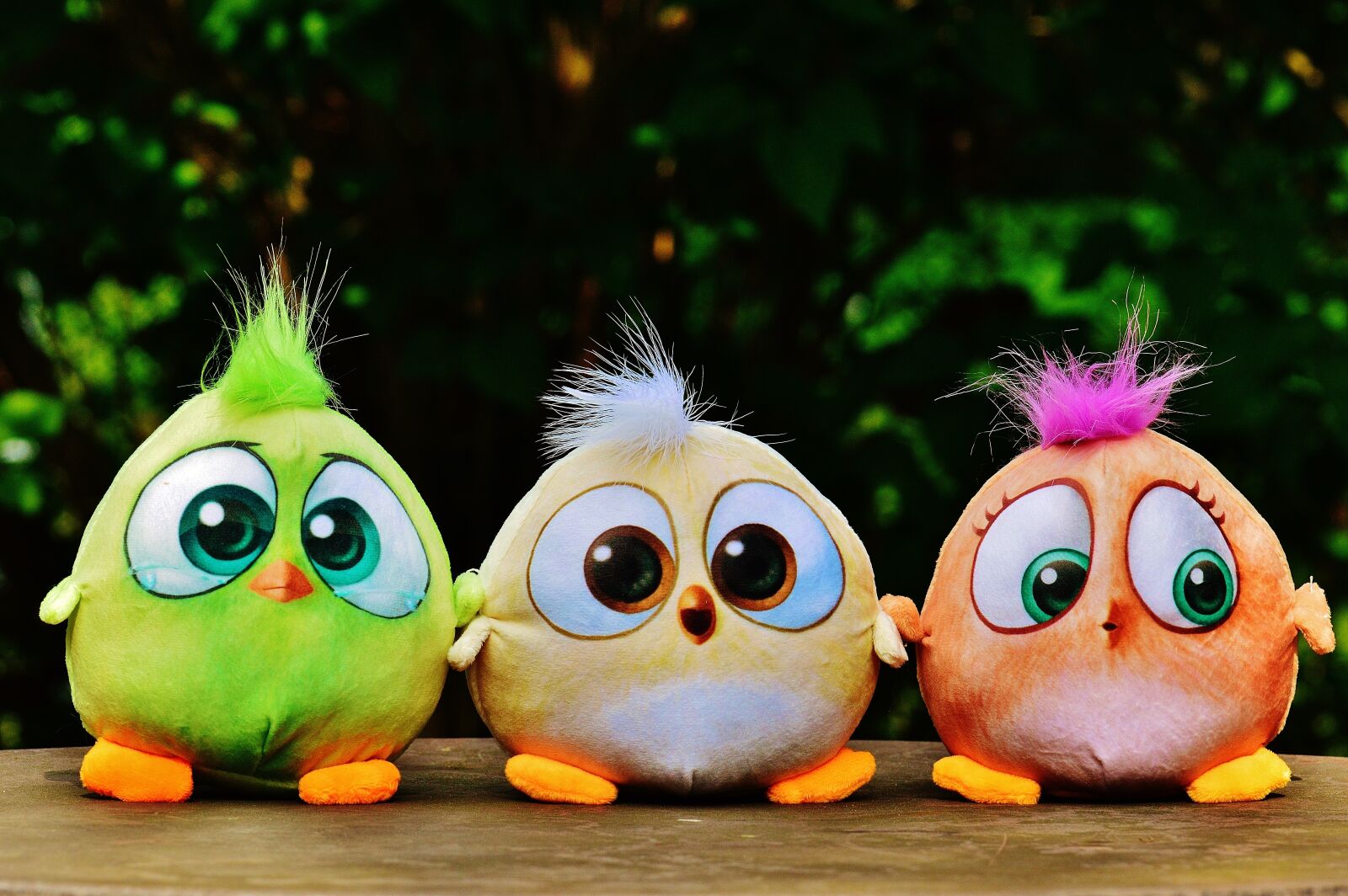 Nikon D3200 sample photo. Birds, birdie, plush photography