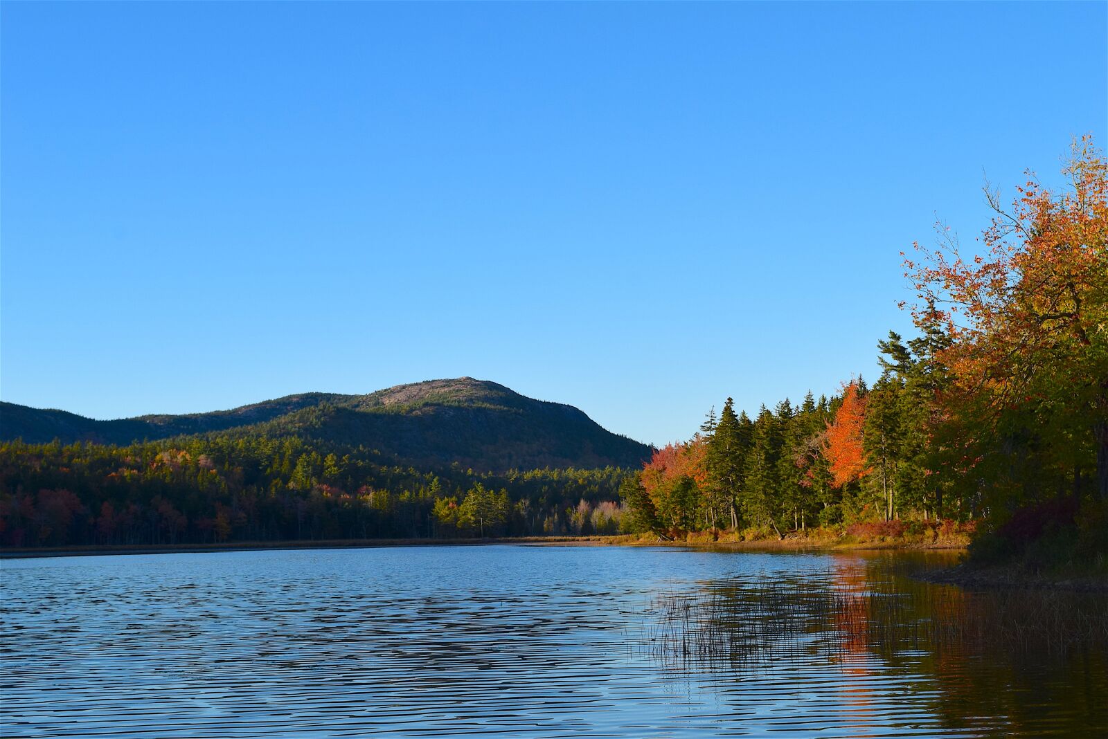 Nikon D3300 sample photo. Lake, trees, foliage photography