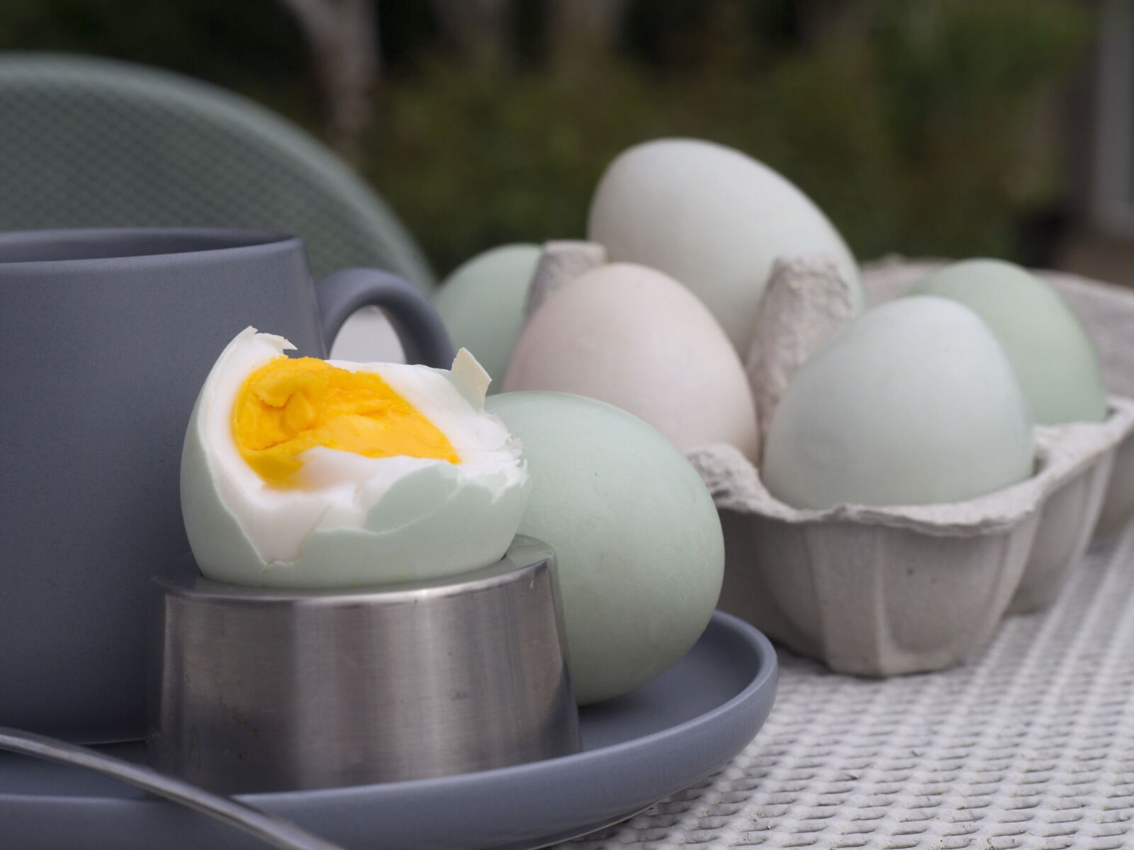 Canon EOS-1D Mark IV sample photo. Duck, eggs, breakfast photography