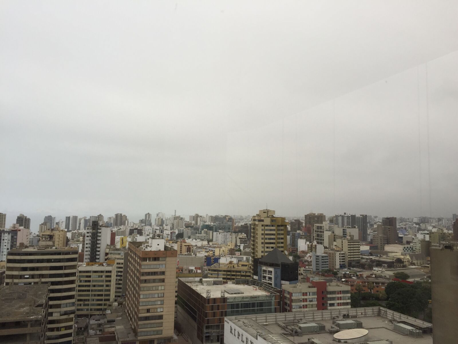 iPhone 6 back camera 4.15mm f/2.2 sample photo. Lime, capital, financial photography