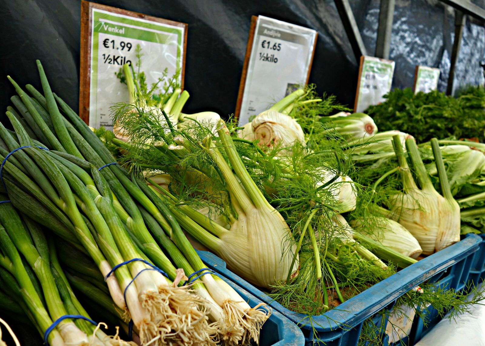 Sony Cyber-shot DSC-RX100 sample photo. Shalott, onion, fennel photography