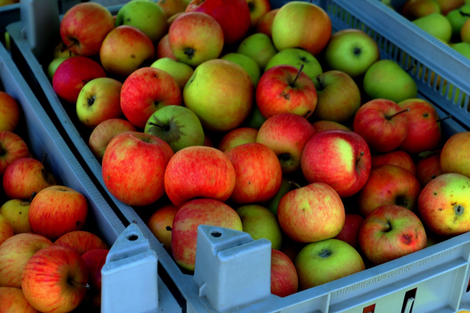 Panasonic Lumix DMC-LX10 (Lumix DMC-LX15) sample photo. Apple, apple juice, autumn photography