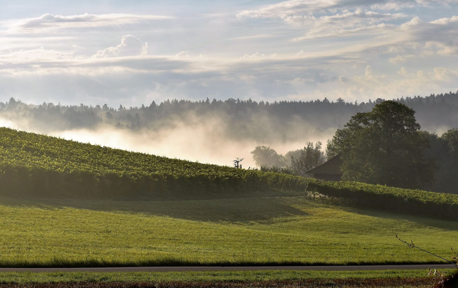 Nikon D5500 sample photo. Landscape, hill, reported photography