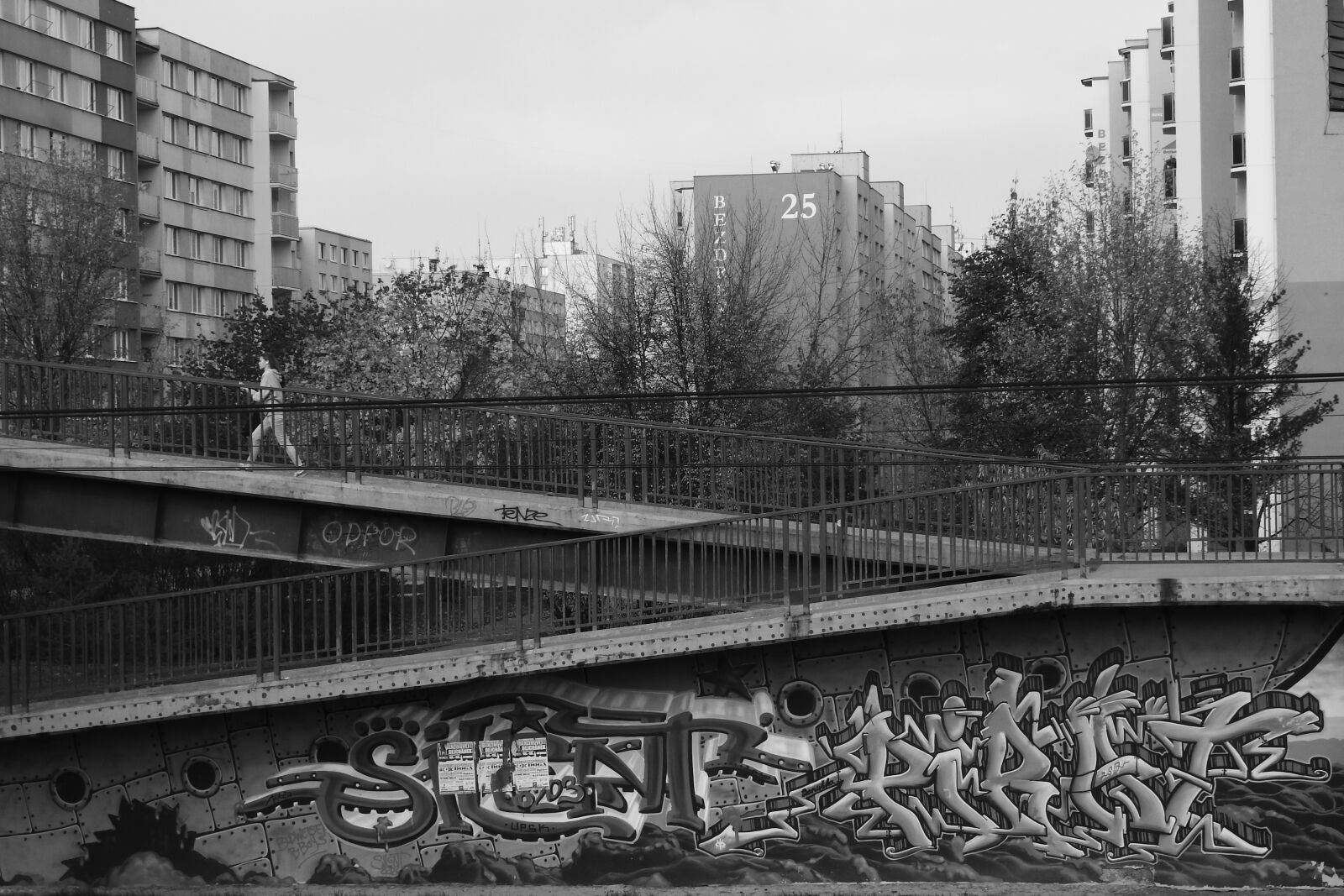 Nikon Coolpix P610 sample photo. Housing estate, overpass, graffiti photography