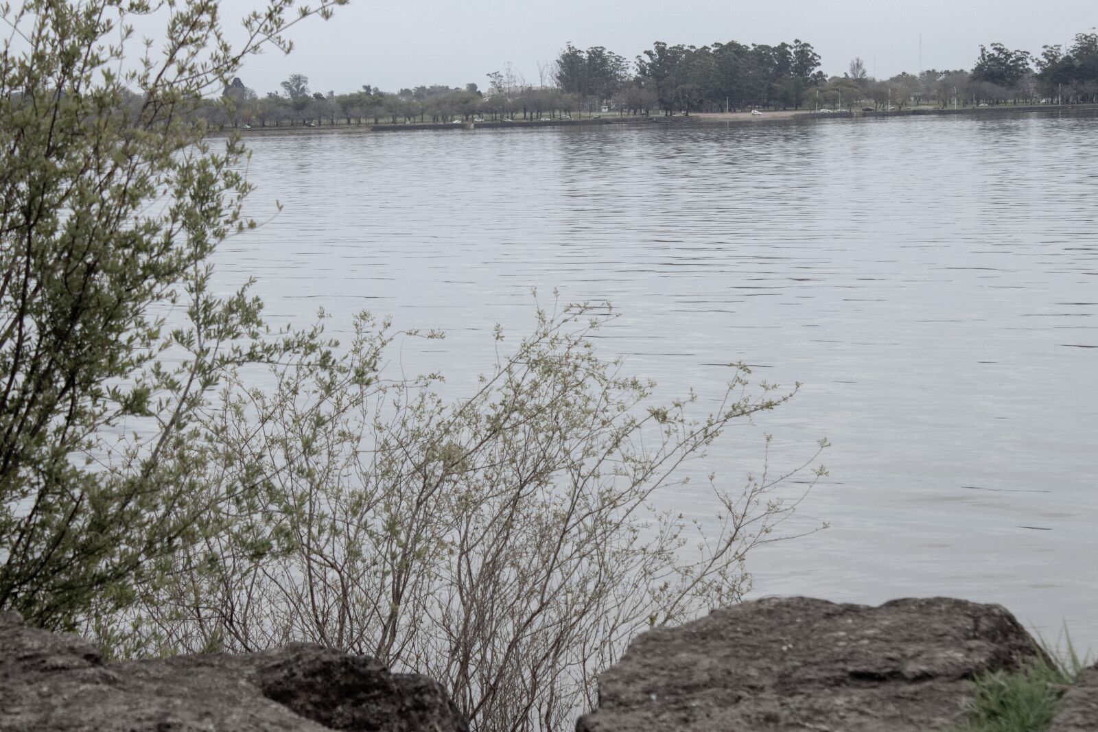 Canon EOS 200D (EOS Rebel SL2 / EOS Kiss X9) sample photo. River, rock, landscape photography