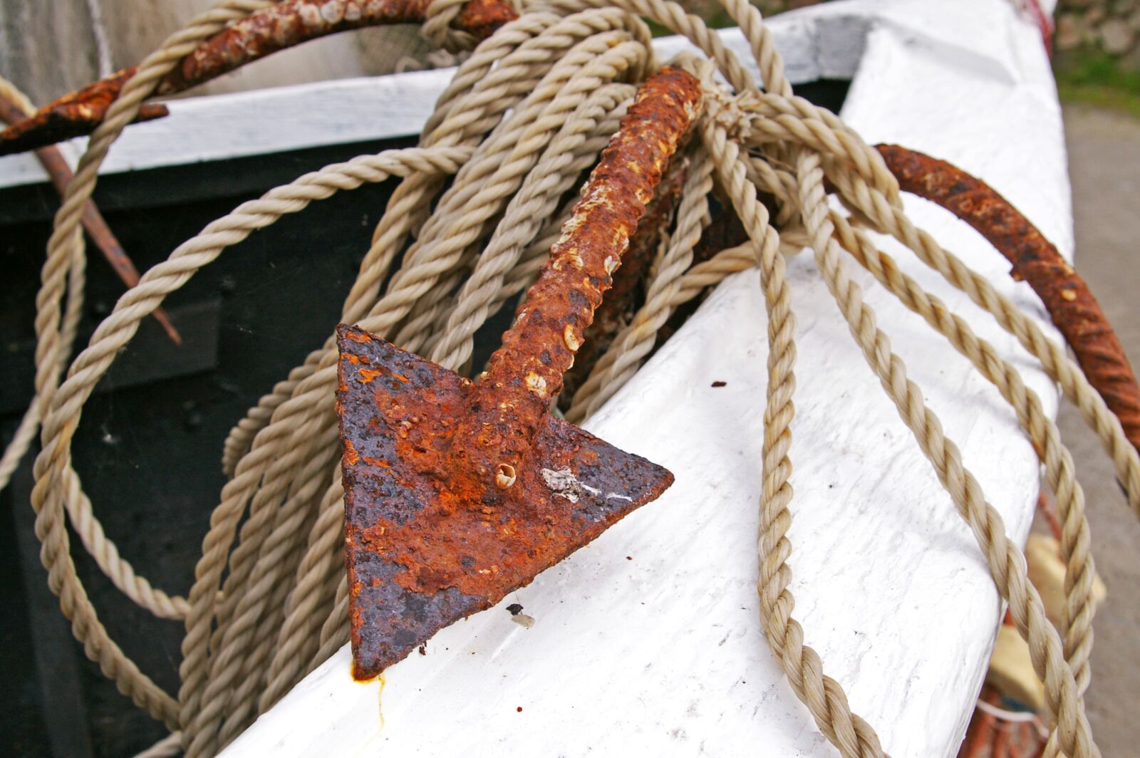 Pentax *ist DL2 sample photo. Anchor, dew, rope photography